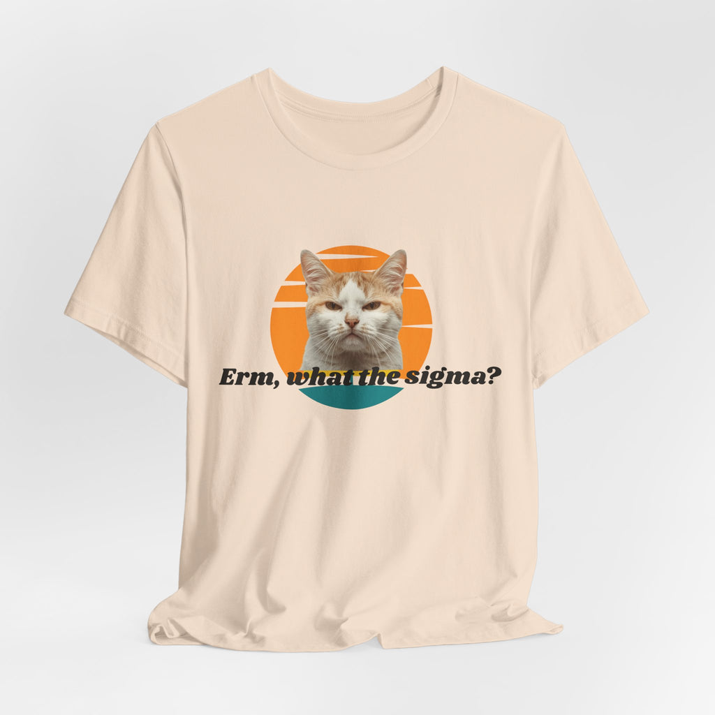 Grumpy Cat Sunset Graphic Tee | "Erm, what the sigma?" Text