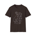 Schrödinger Cat Diagram T-Shirt | Quantum Physics Cat Tee