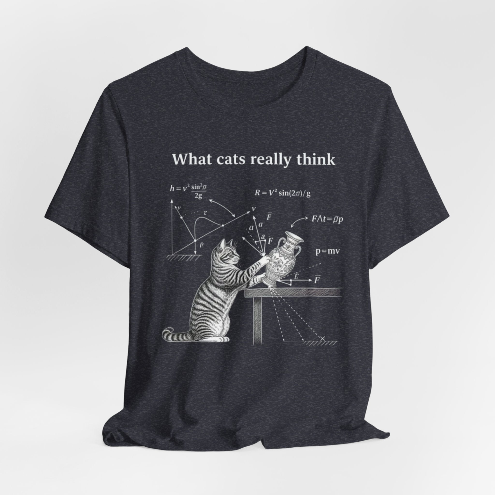 What Cats Really Think T-Shirt | Cat Physics Diagram Tee, Funny Cat Science Shirt