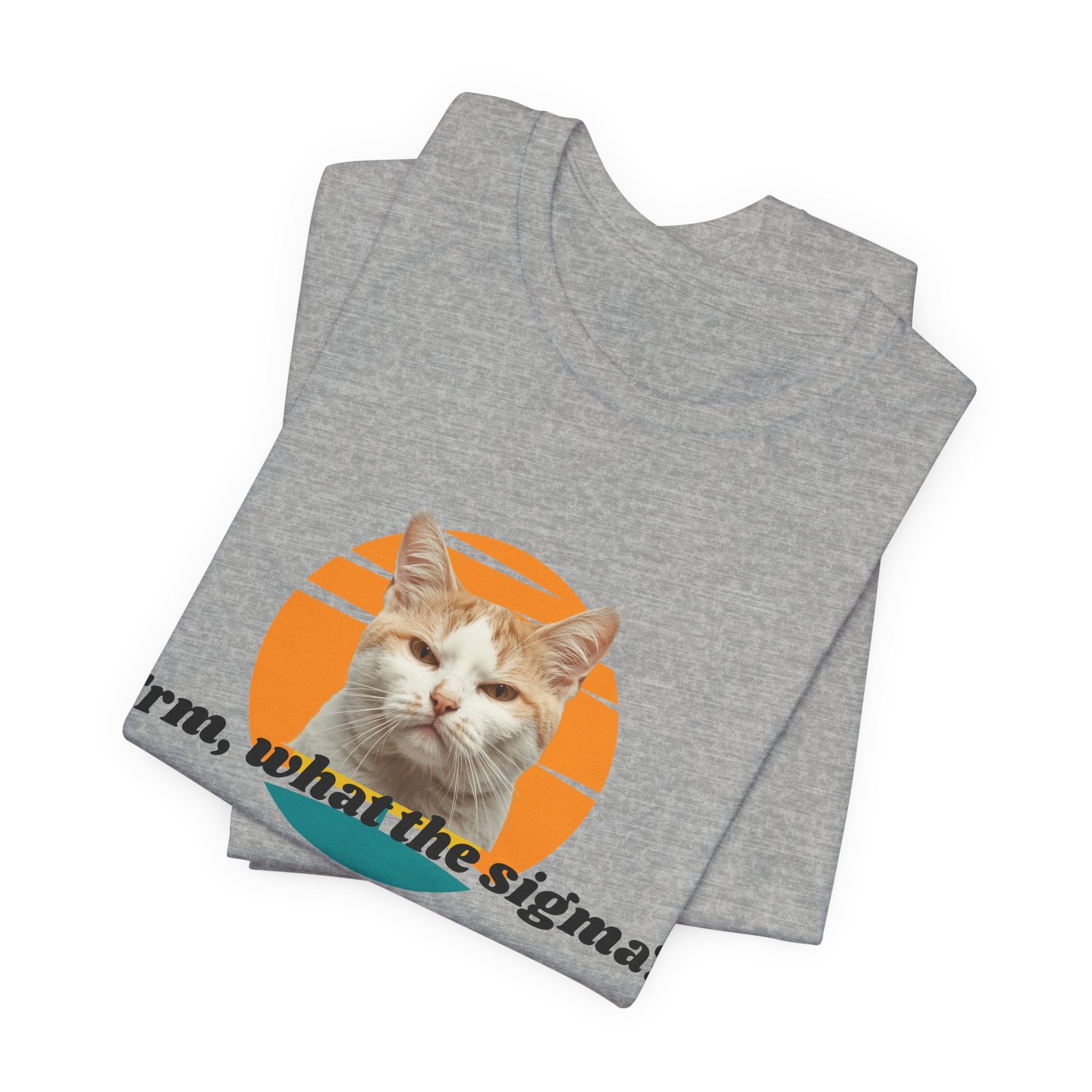 Grumpy Cat Sunset Graphic Tee | "Erm, what the sigma?" Text
