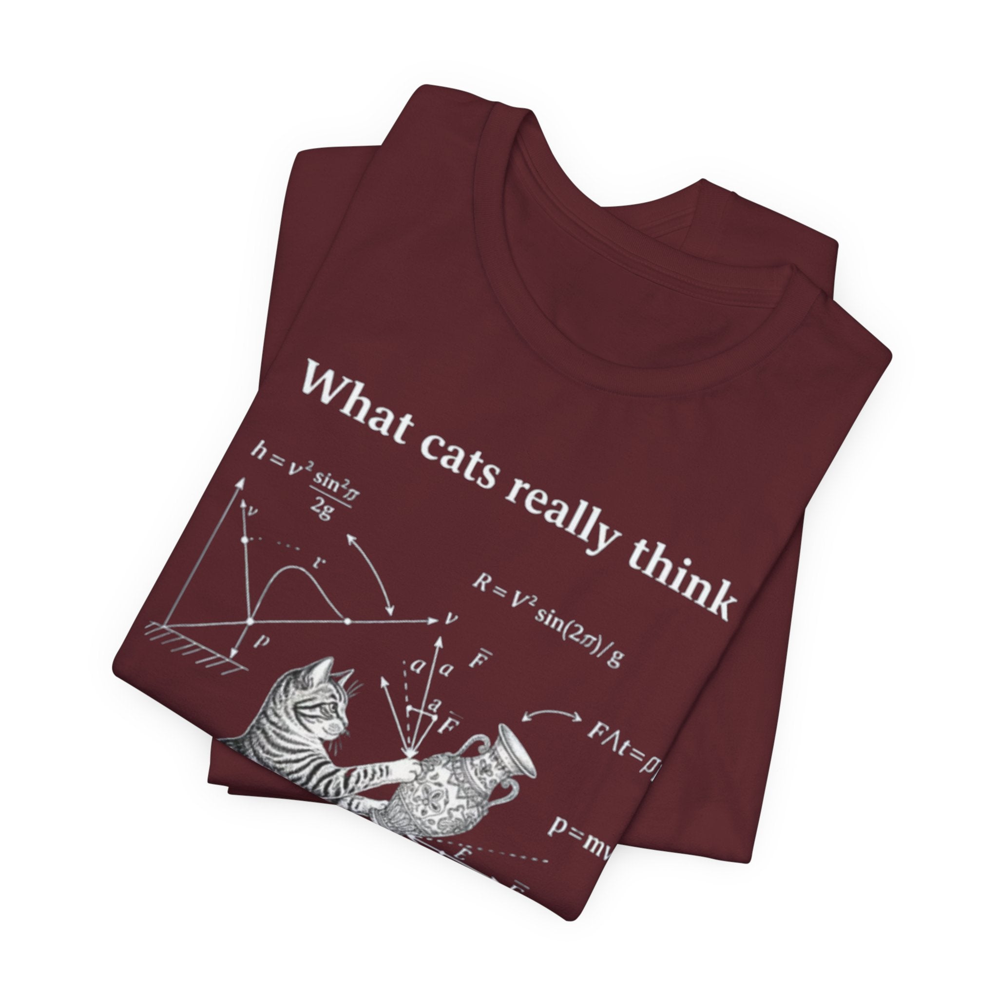 What Cats Really Think T-Shirt | Cat Physics Diagram Tee, Funny Cat Science Shirt