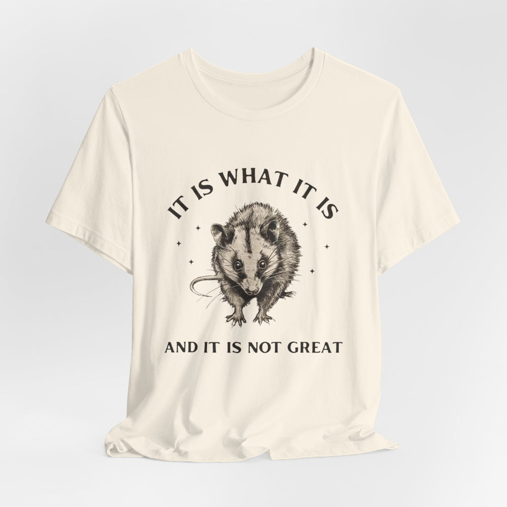 Humorous Opossum Tee - "It Is What It Is" Graphic T-Shirt, Funny Gift, Casual Wear, Animal Lover, Birthday, Gift for Friends