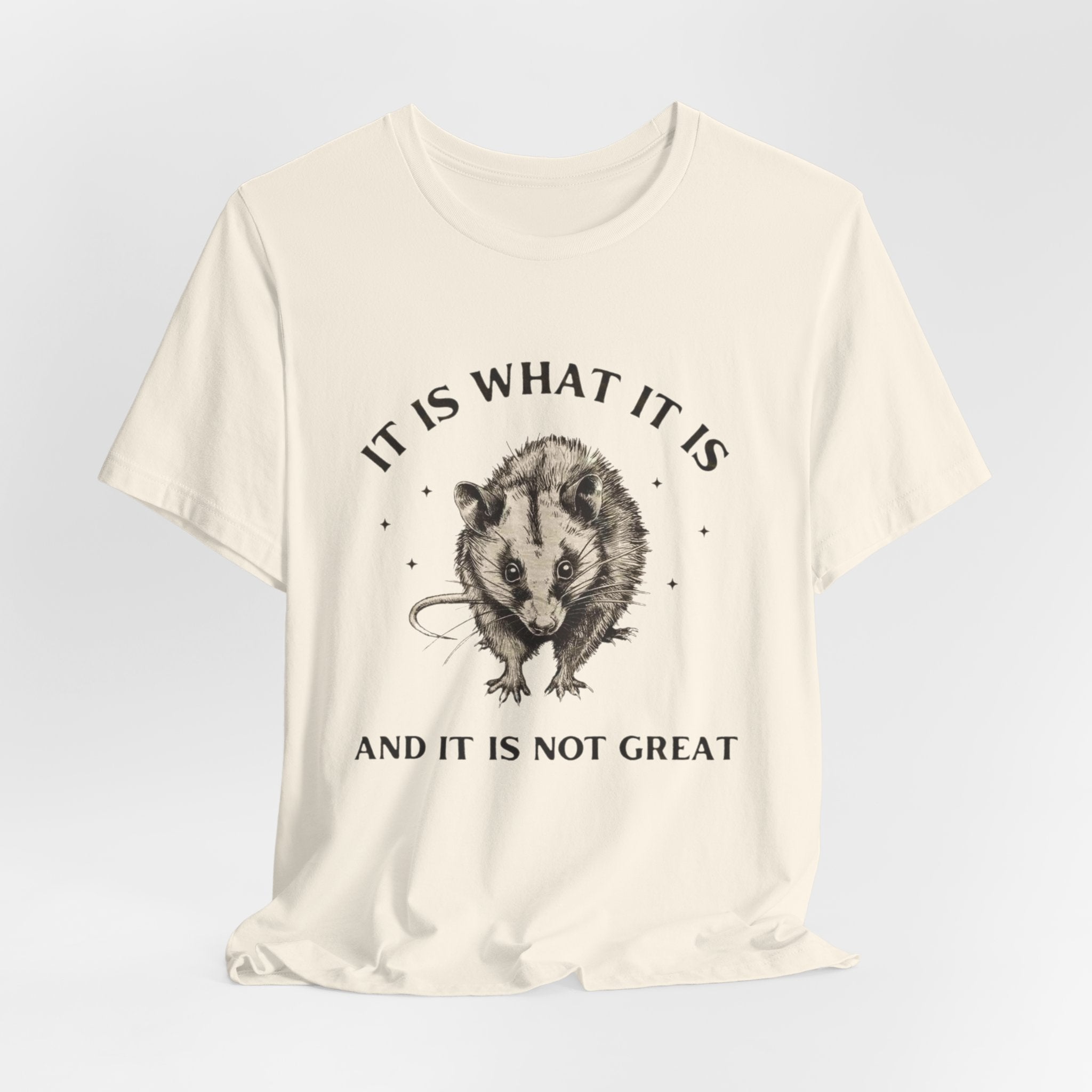 Humorous Opossum Tee - "It Is What It Is" Graphic T-Shirt, Funny Gift, Casual Wear, Animal Lover, Birthday, Gift for Friends