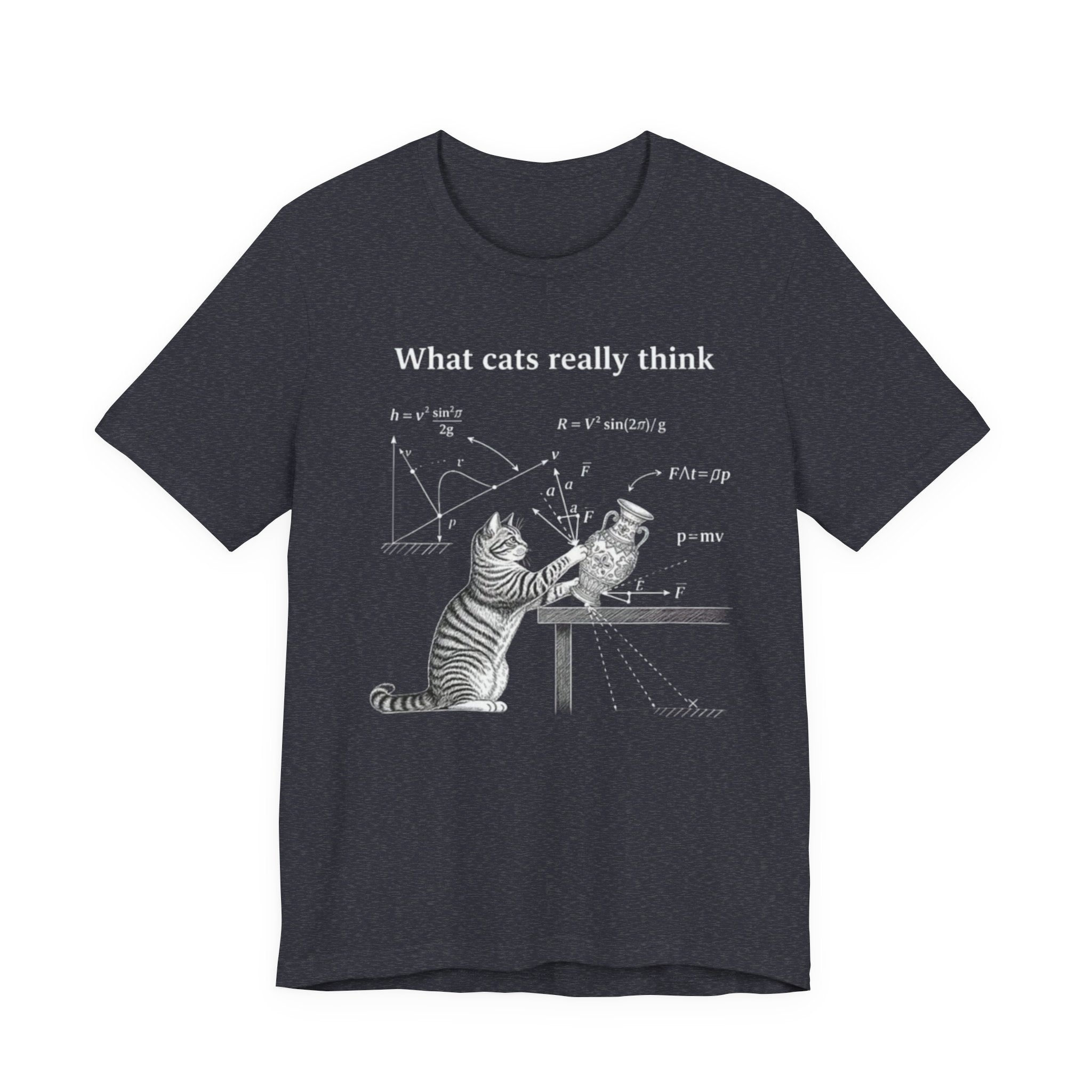 What Cats Really Think T-Shirt | Cat Physics Diagram Tee, Funny Cat Science Shirt