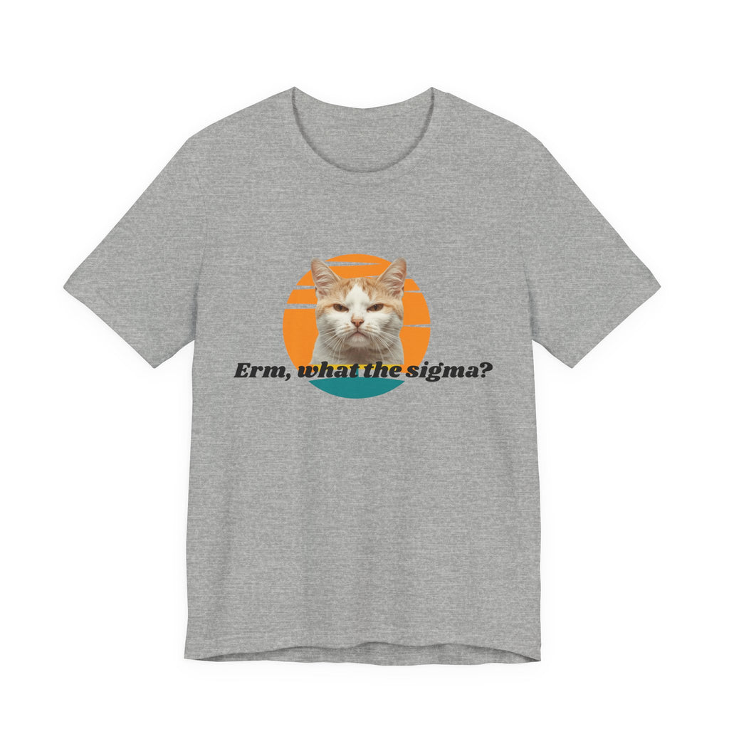 Grumpy Cat Sunset Graphic Tee | "Erm, what the sigma?" Text