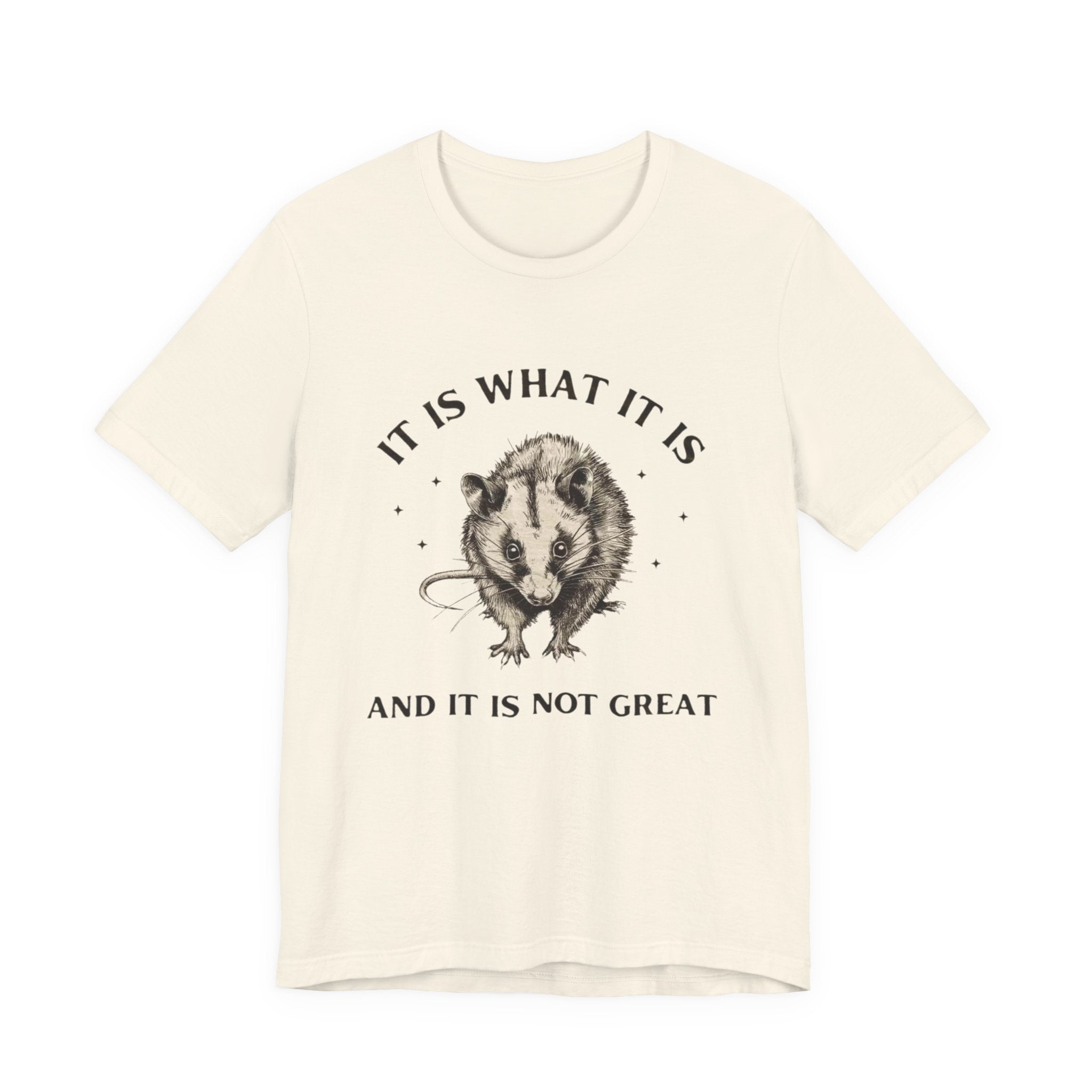 Humorous Opossum Tee - "It Is What It Is" Graphic T-Shirt, Funny Gift, Casual Wear, Animal Lover, Birthday, Gift for Friends