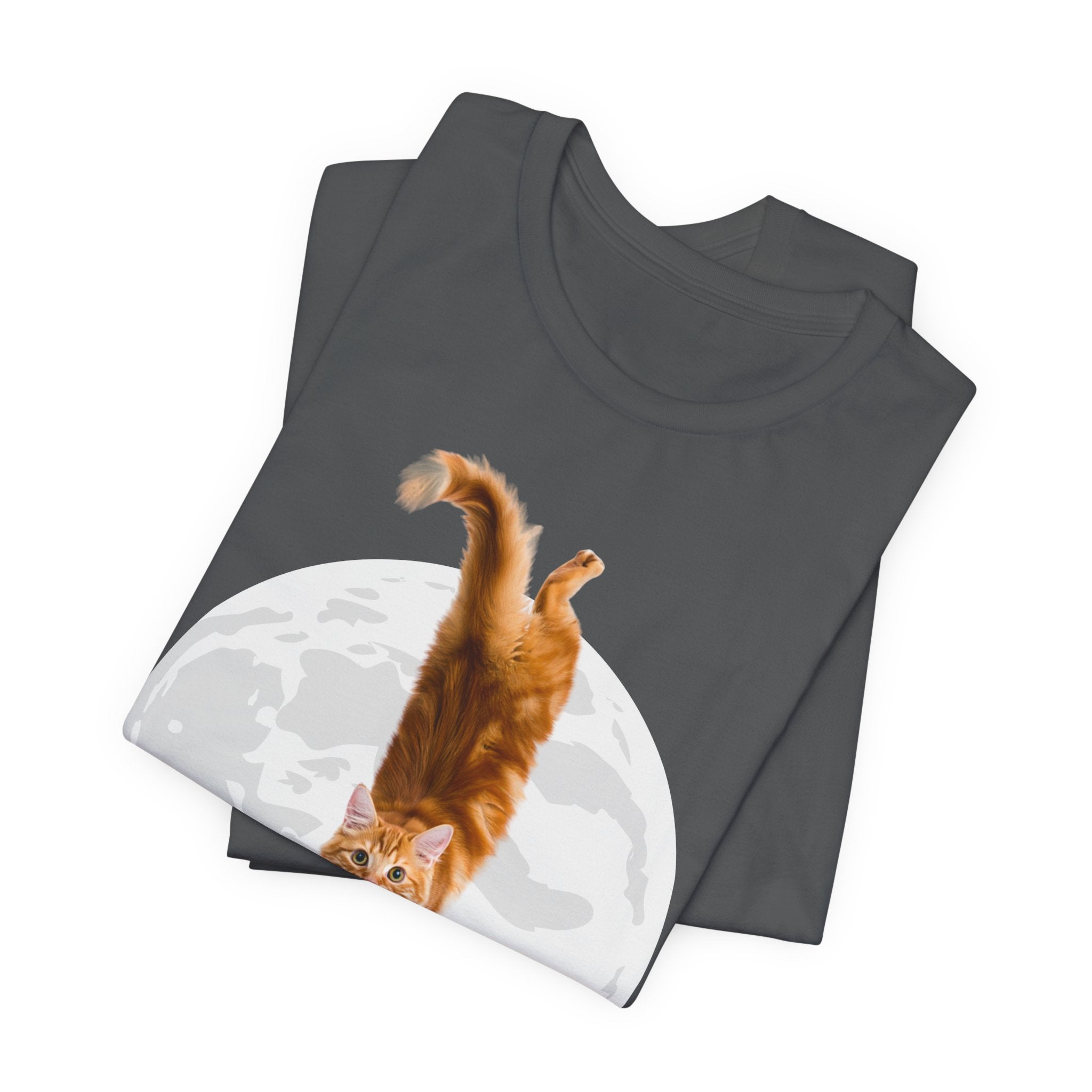 I Understand Cat Moon illustration tee | Ginger Cat, Moon Graphic Shirt