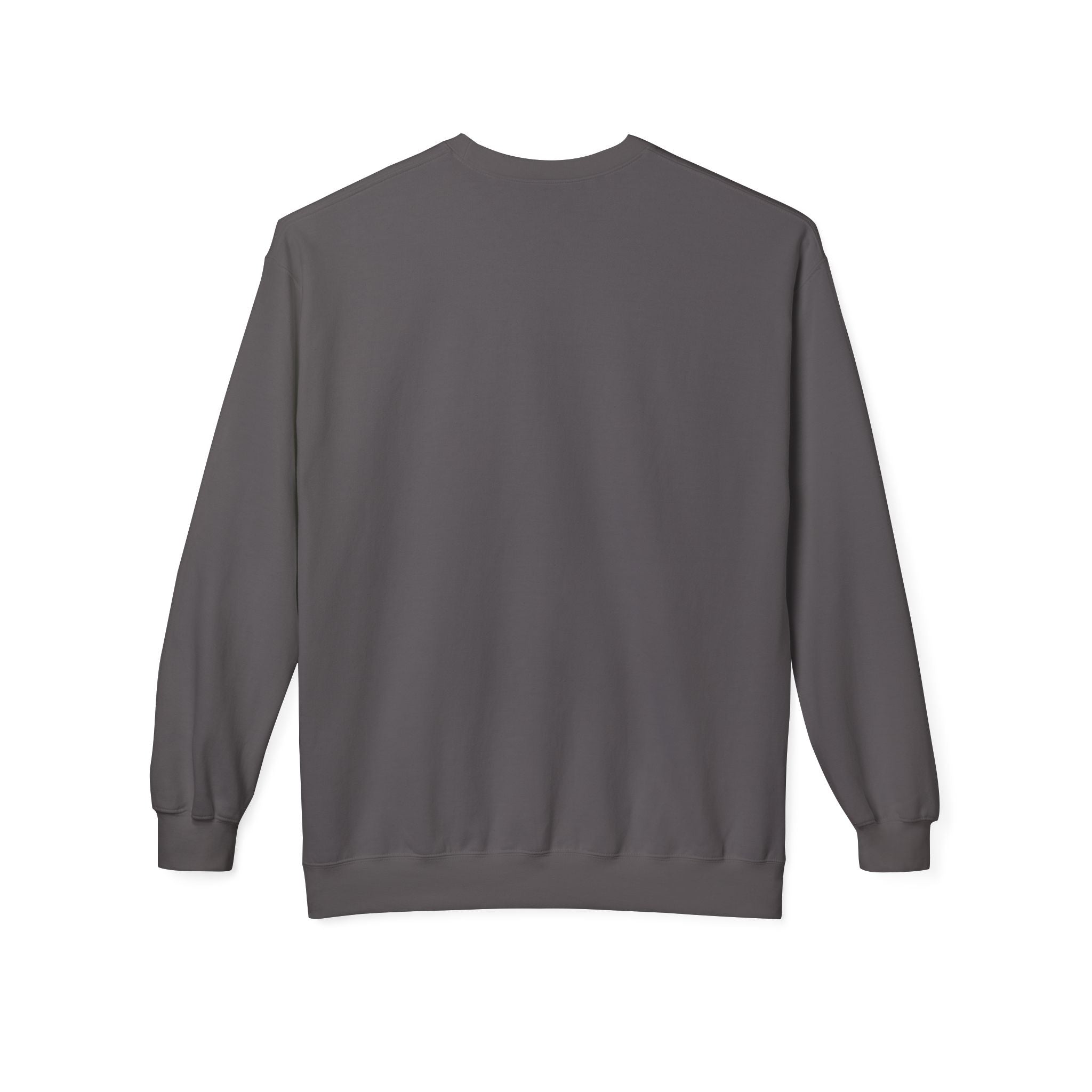 I'm Not A Silly Goose sweatshirt | Goose with Gun Illustration