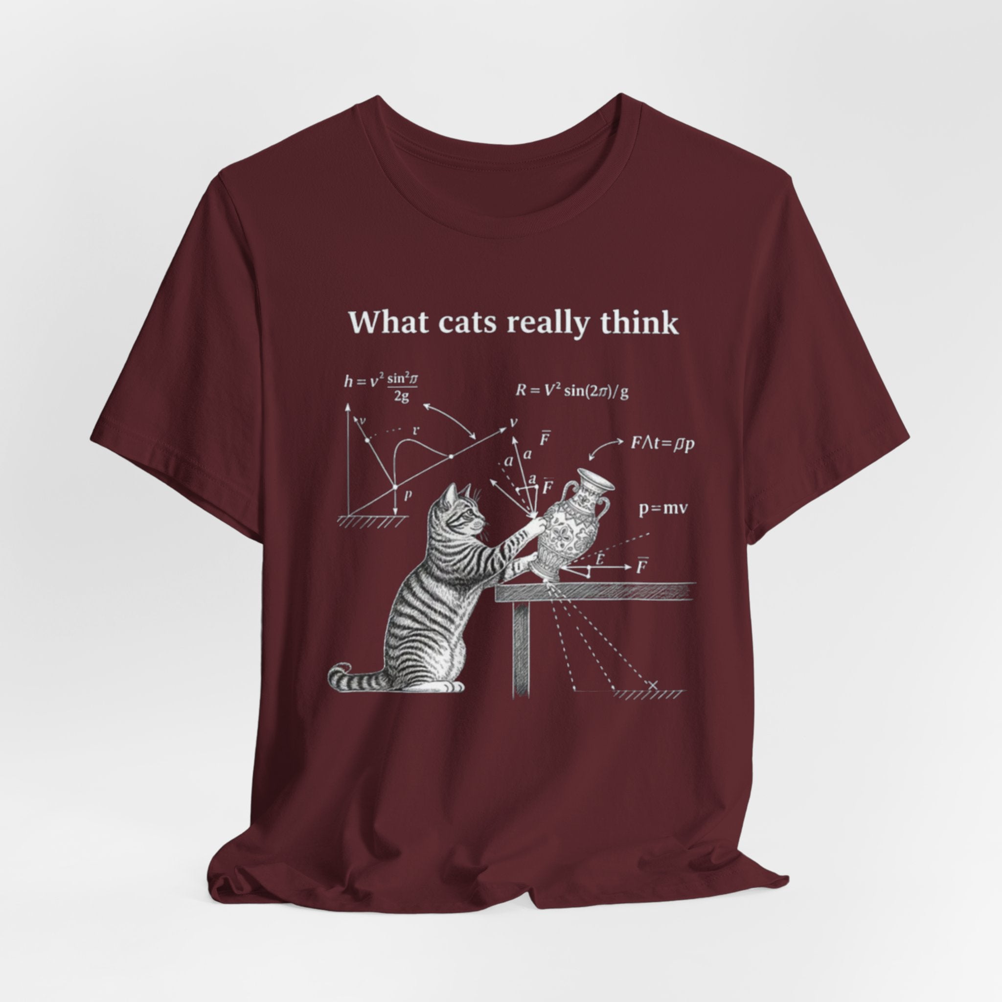 What Cats Really Think T-Shirt | Cat Physics Diagram Tee, Funny Cat Science Shirt