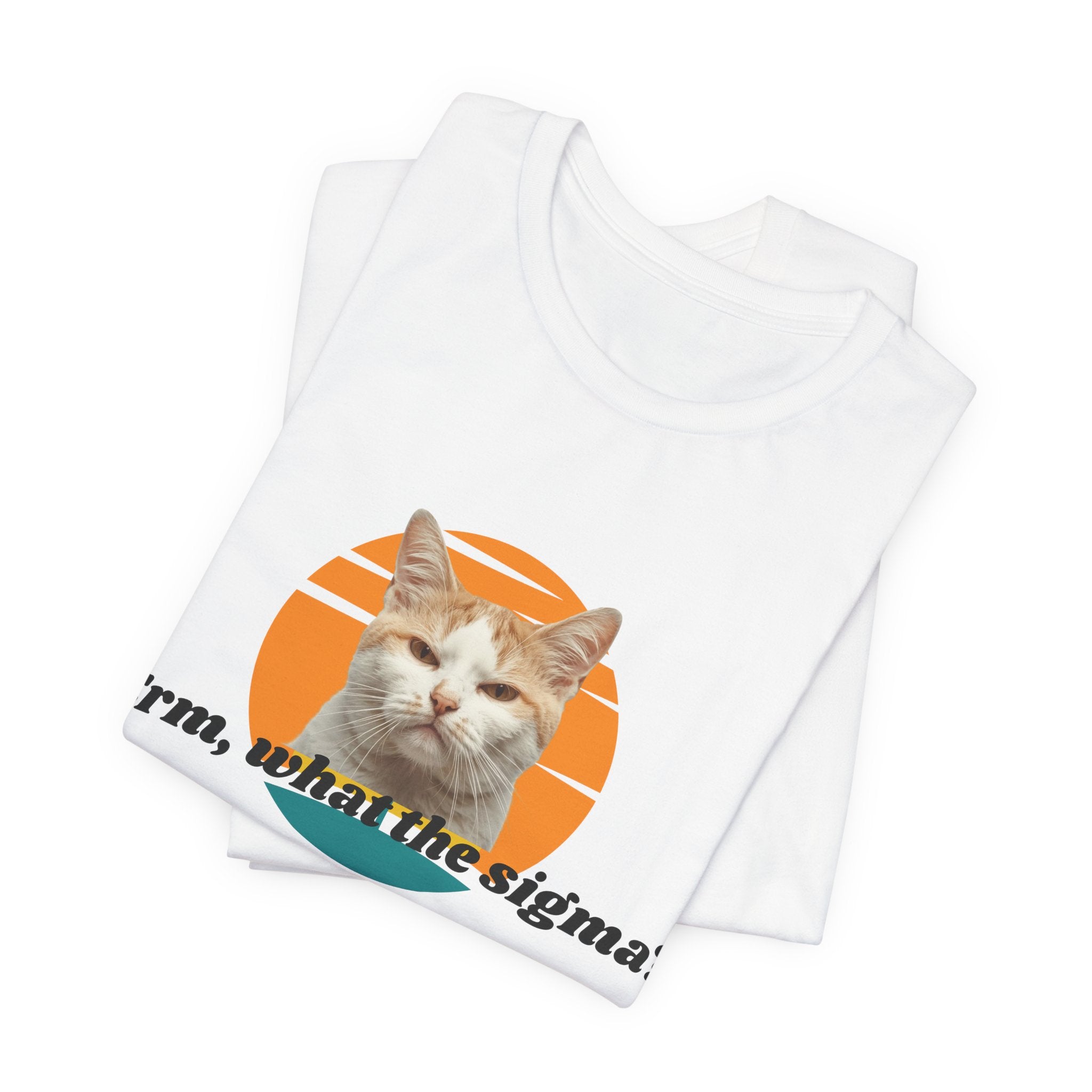 Grumpy Cat Sunset Graphic Tee | "Erm, what the sigma?" Text