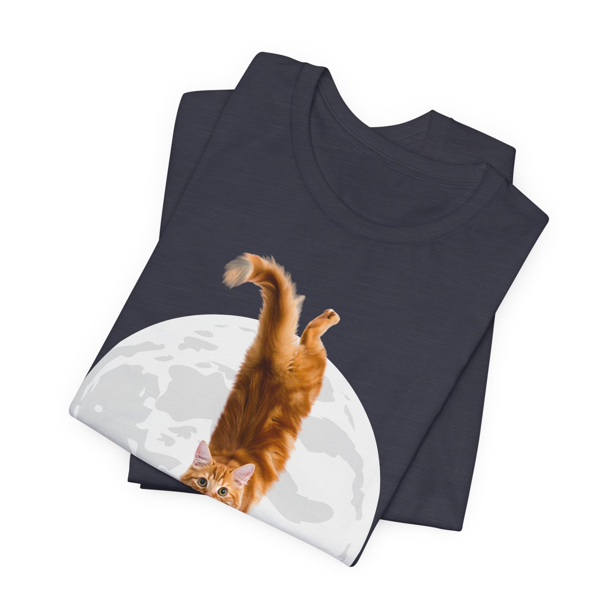 I Understand Cat Moon illustration tee | Ginger Cat, Moon Graphic Shirt