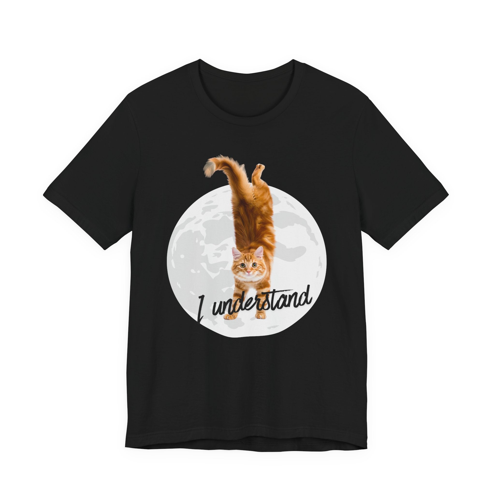 I Understand Cat Moon illustration tee | Ginger Cat, Moon Graphic Shirt