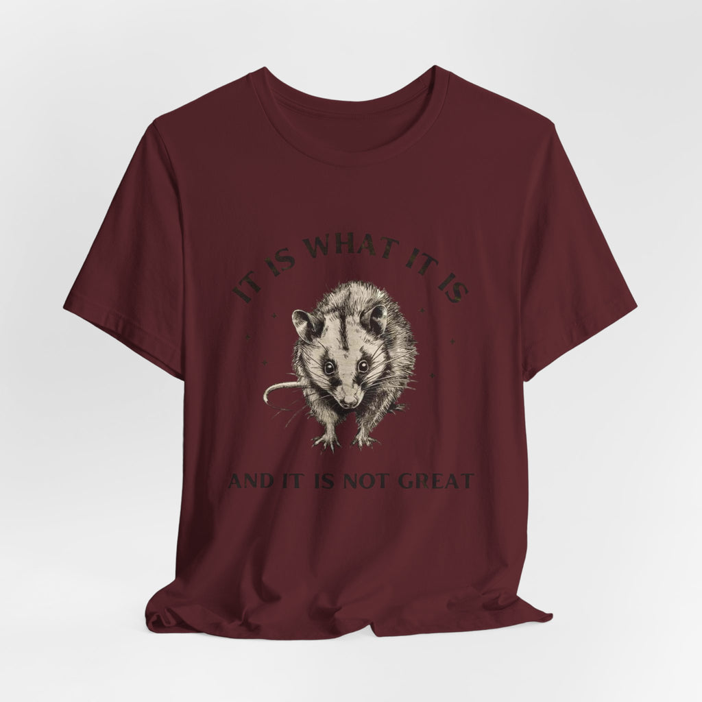 Humorous Opossum Tee - "It Is What It Is" Graphic T-Shirt, Funny Gift, Casual Wear, Animal Lover, Birthday, Gift for Friends