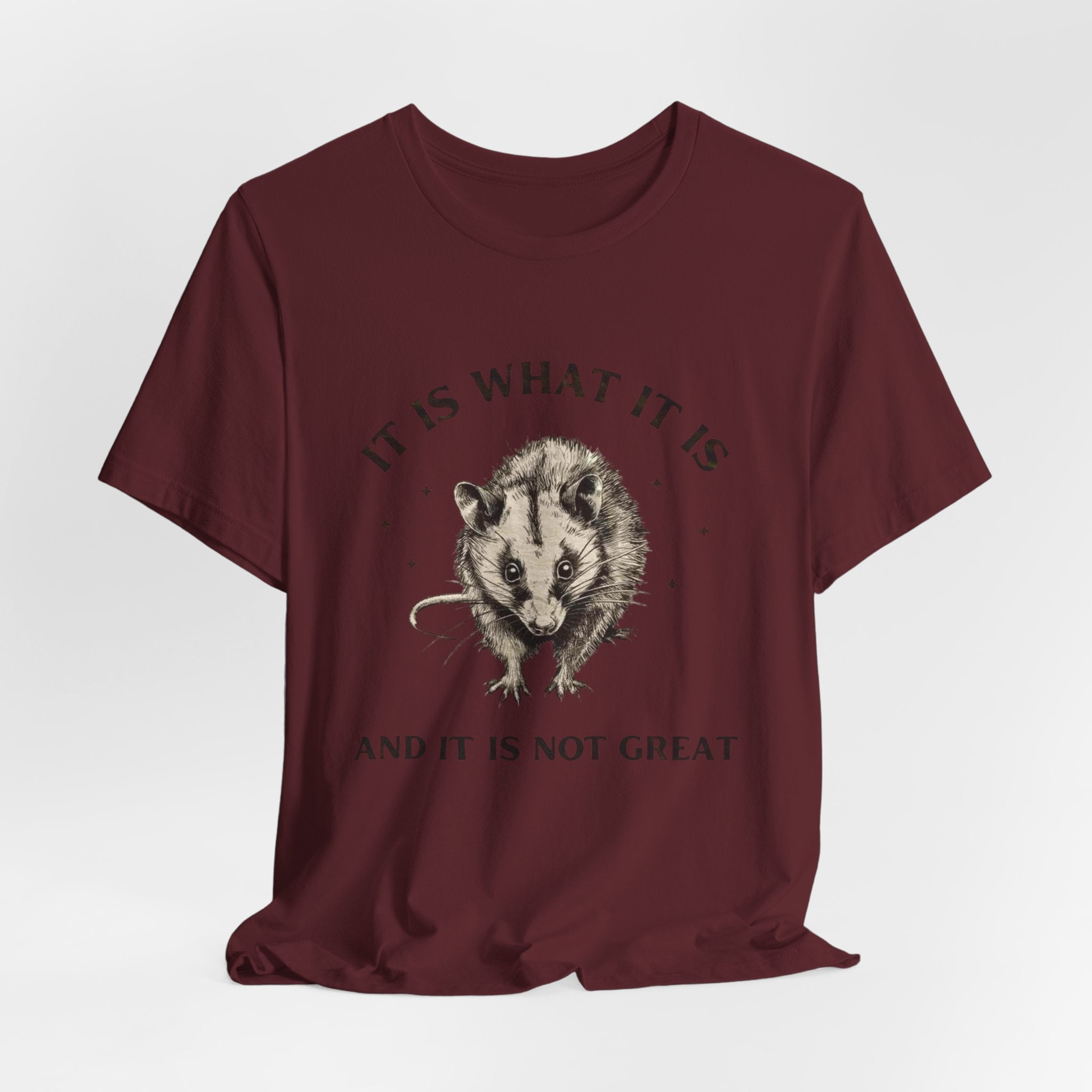 Humorous Opossum Tee - "It Is What It Is" Graphic T-Shirt, Funny Gift, Casual Wear, Animal Lover, Birthday, Gift for Friends