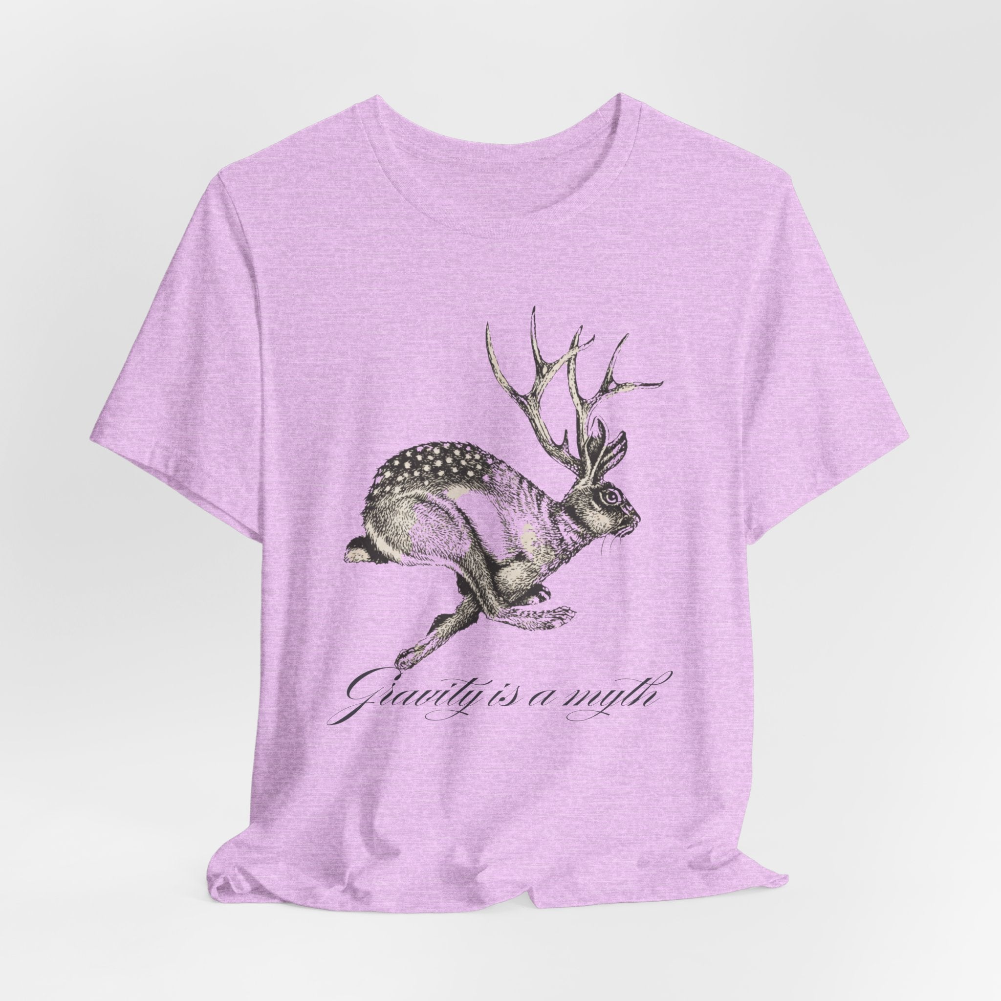 Gravity is a myth tee| hand -Drawn Jackalope Art, Script Motto