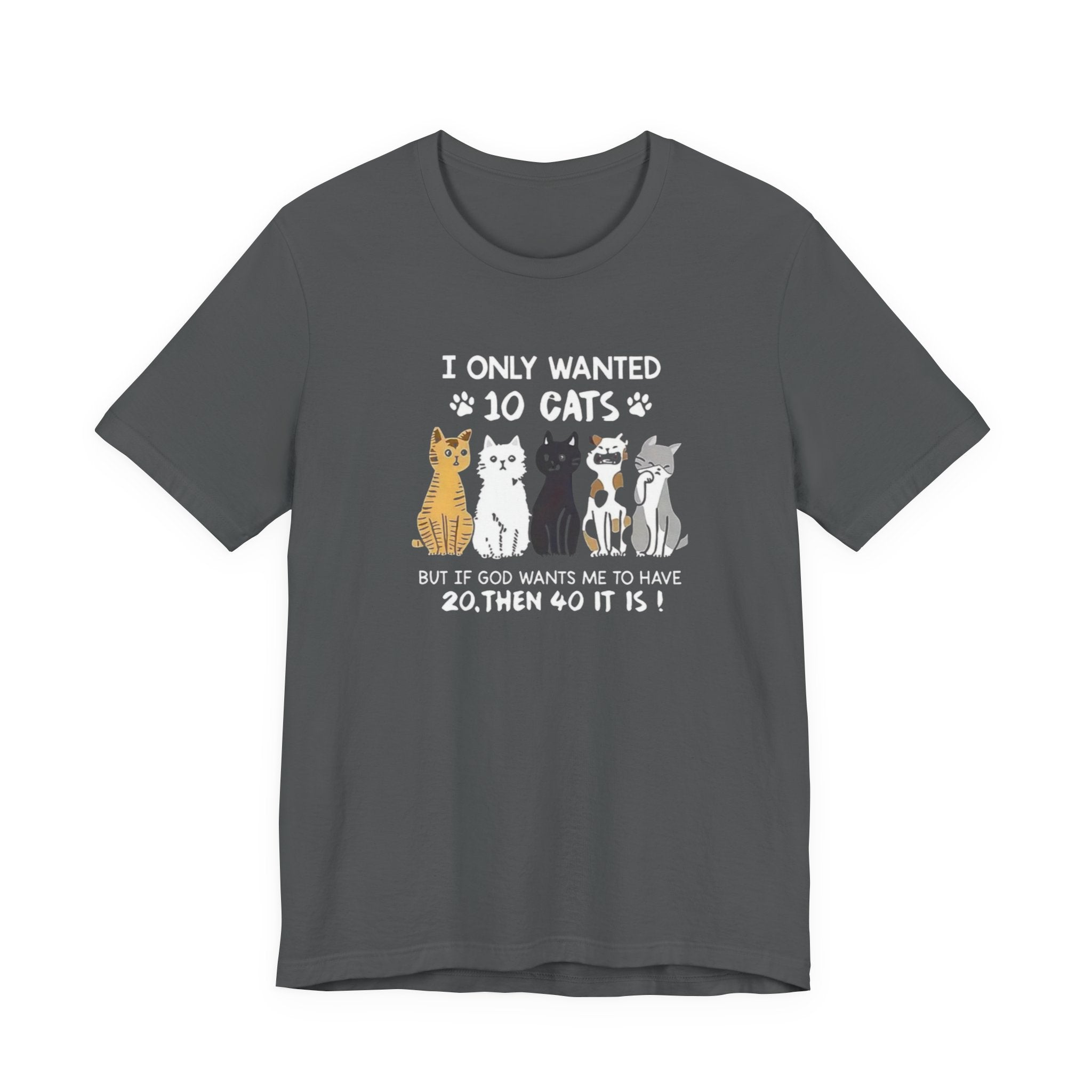 I Only Wanted 10 Cats tee | Cat Lover T-Shirt, Funny Cat Quote