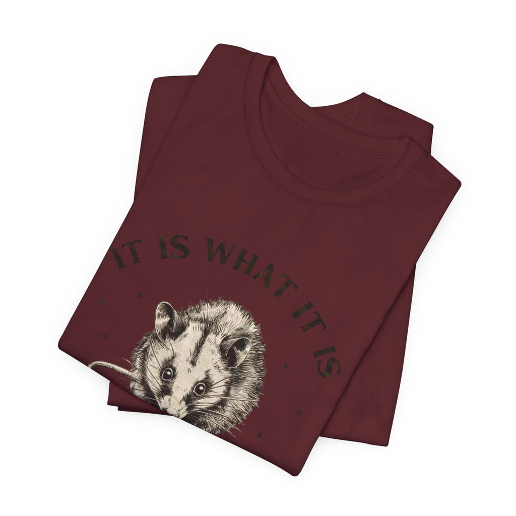 Humorous Opossum Tee - "It Is What It Is" Graphic T-Shirt, Funny Gift, Casual Wear, Animal Lover, Birthday, Gift for Friends