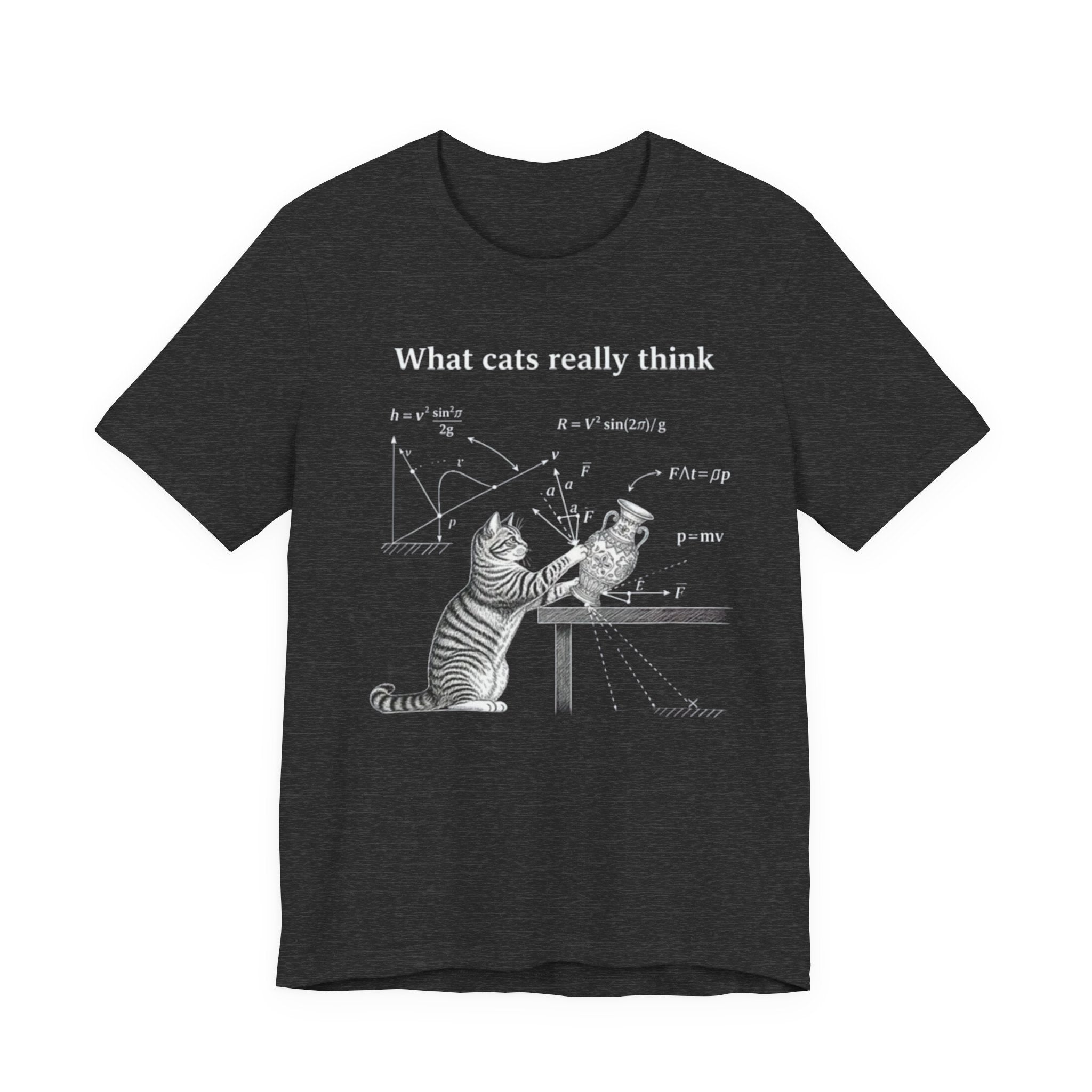 What Cats Really Think T-Shirt | Cat Physics Diagram Tee, Funny Cat Science Shirt
