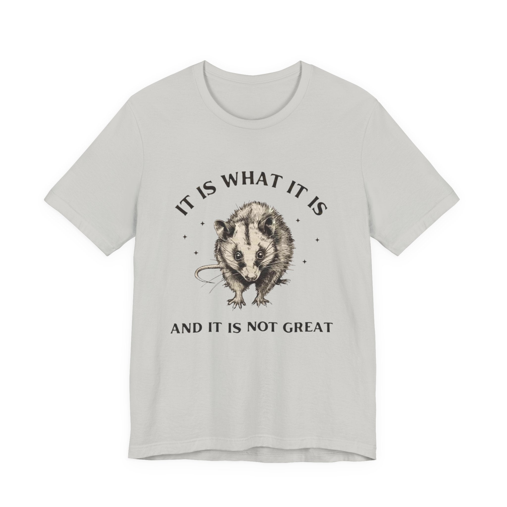 Humorous Opossum Tee - "It Is What It Is" Graphic T-Shirt, Funny Gift, Casual Wear, Animal Lover, Birthday, Gift for Friends