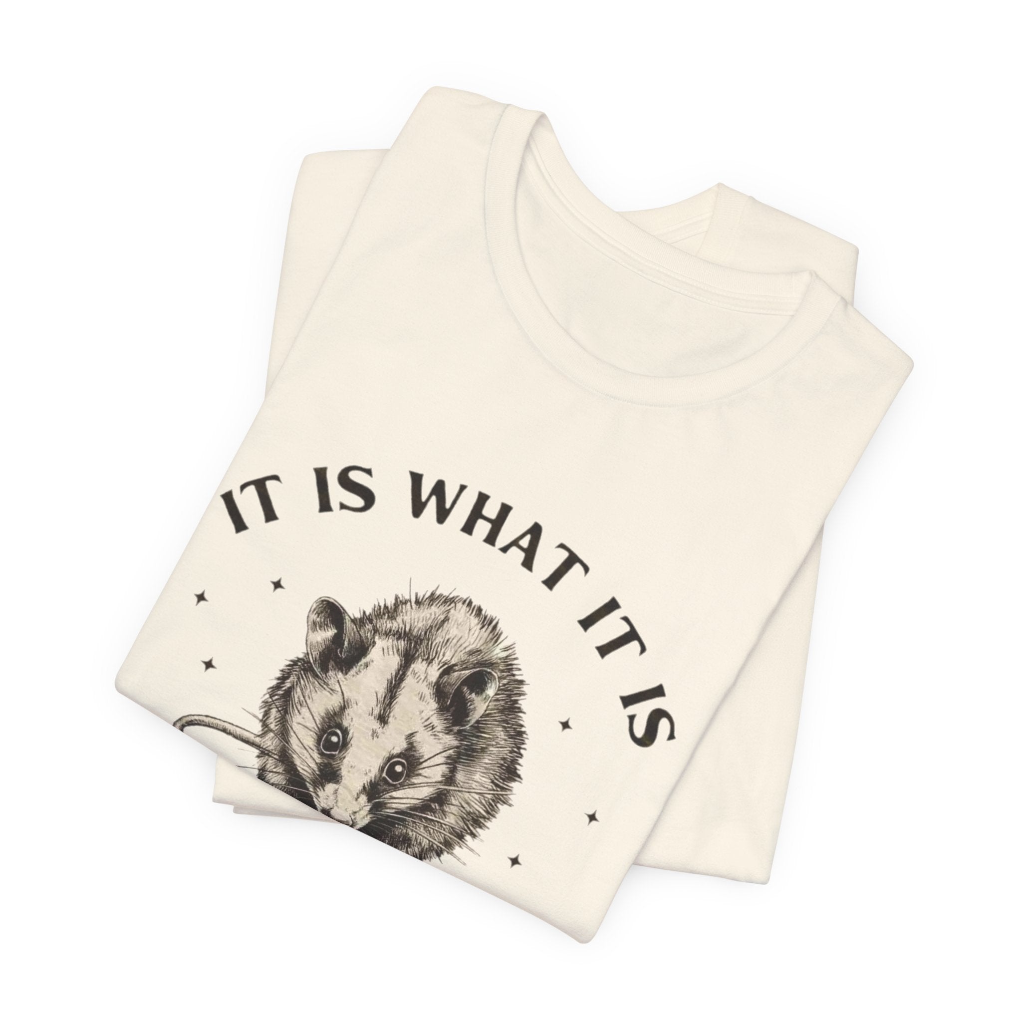 Humorous Opossum Tee - "It Is What It Is" Graphic T-Shirt, Funny Gift, Casual Wear, Animal Lover, Birthday, Gift for Friends