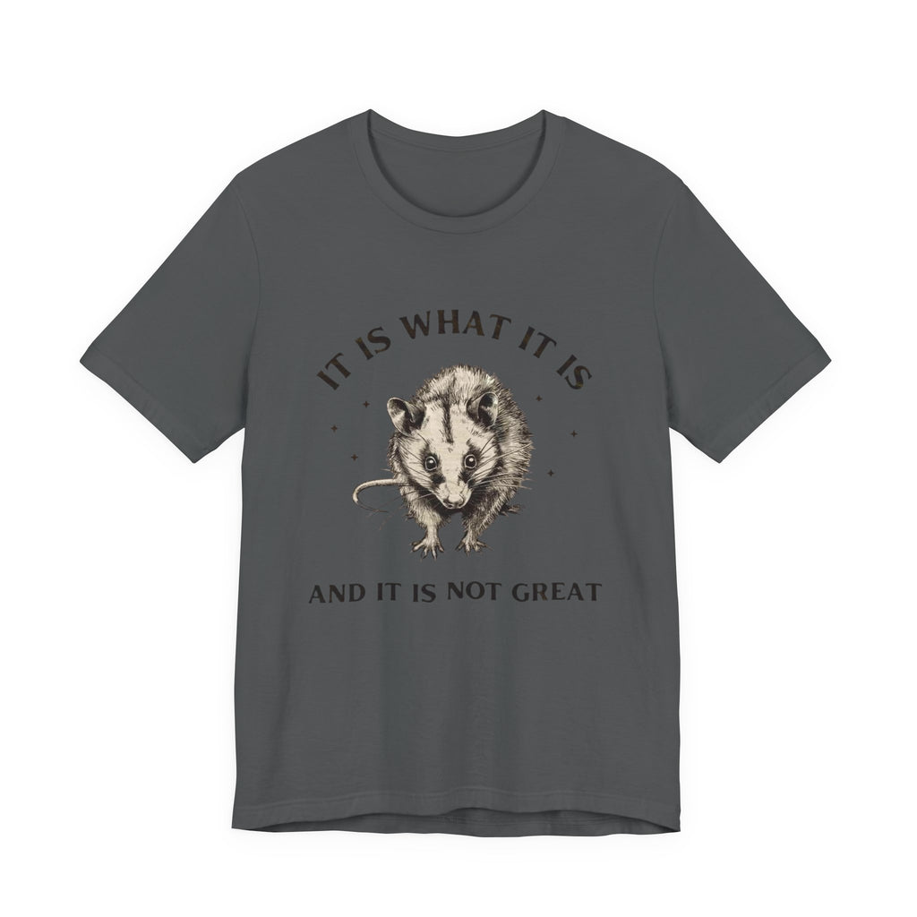 Humorous Opossum Tee - "It Is What It Is" Graphic T-Shirt, Funny Gift, Casual Wear, Animal Lover, Birthday, Gift for Friends
