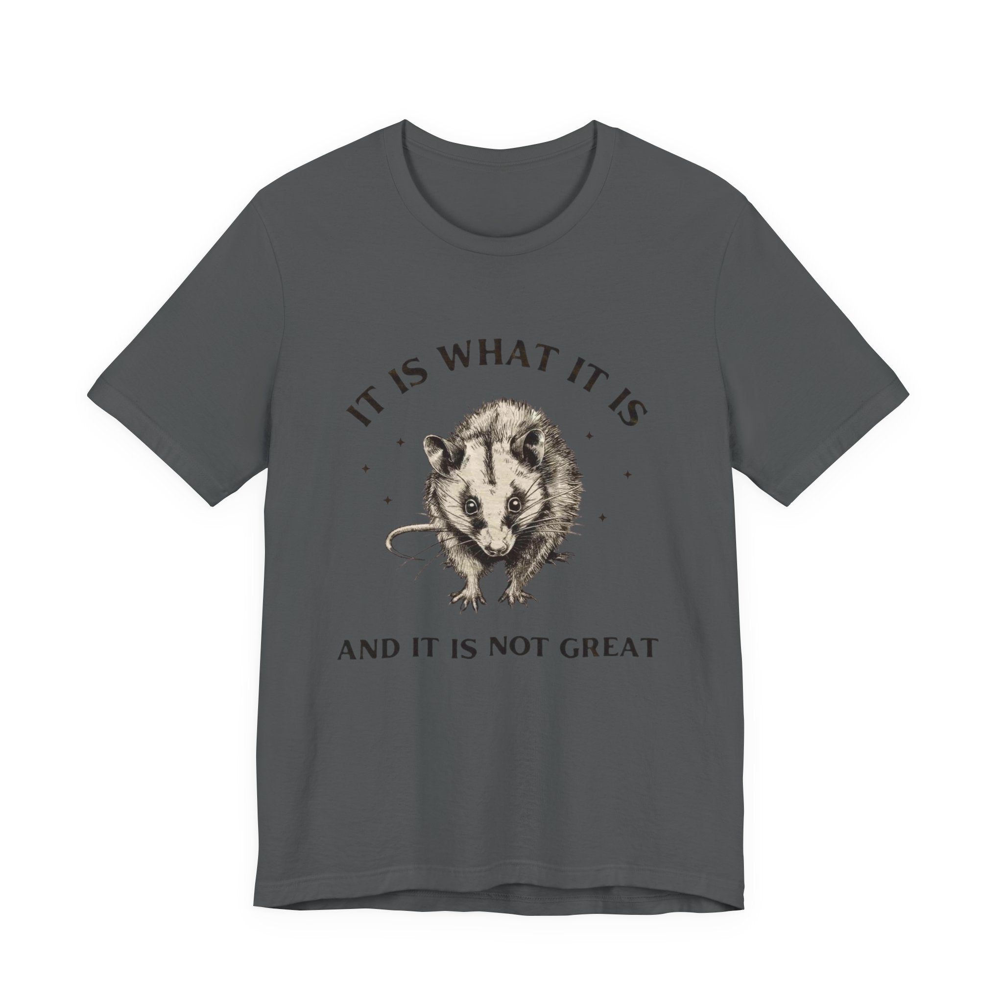 Humorous Opossum Tee - "It Is What It Is" Graphic T-Shirt, Funny Gift, Casual Wear, Animal Lover, Birthday, Gift for Friends