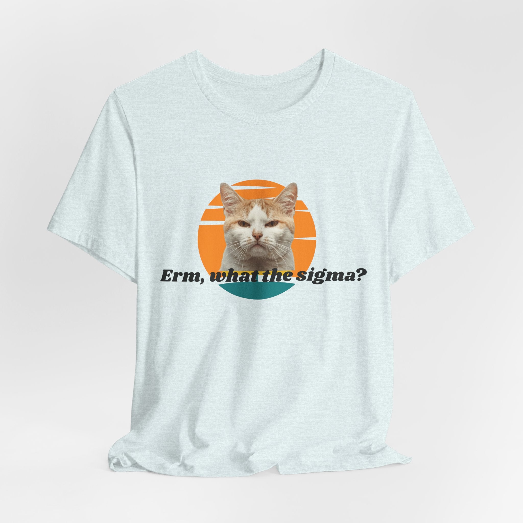 Grumpy Cat Sunset Graphic Tee | "Erm, what the sigma?" Text