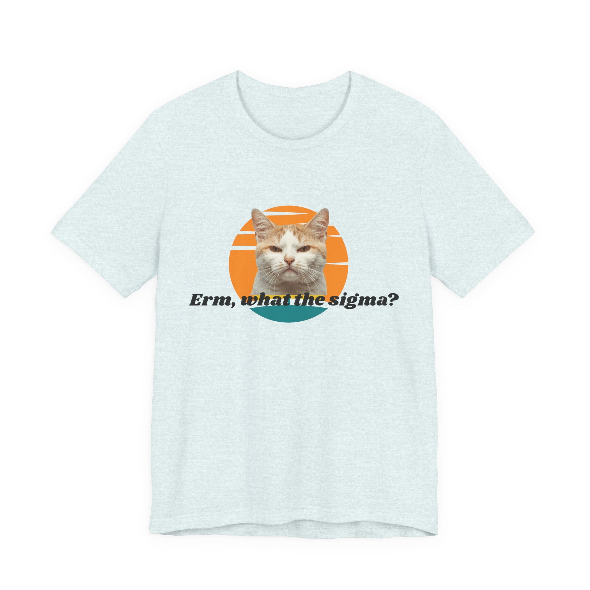 Grumpy Cat Sunset Graphic Tee | "Erm, what the sigma?" Text