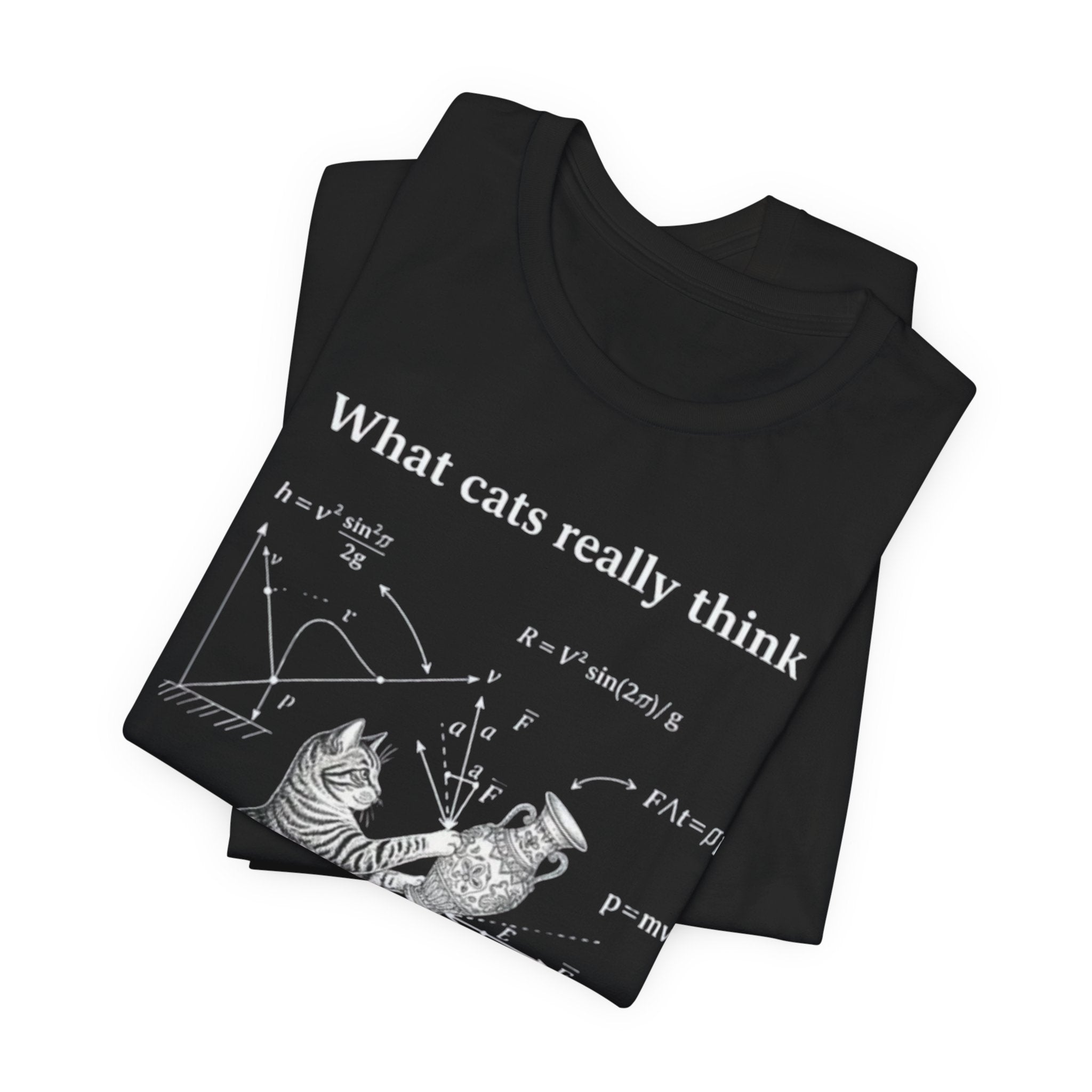 What Cats Really Think T-Shirt | Cat Physics Diagram Tee, Funny Cat Science Shirt