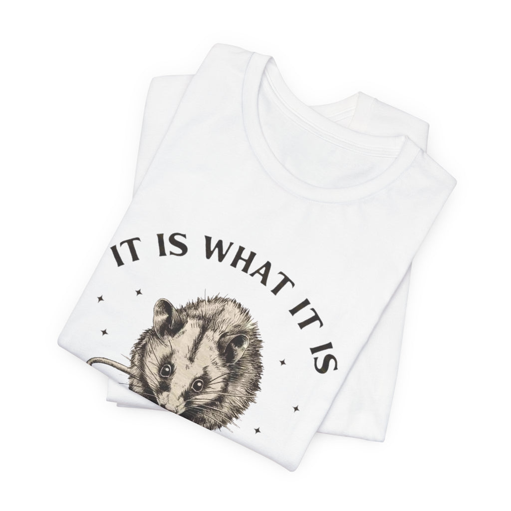 Humorous Opossum Tee - "It Is What It Is" Graphic T-Shirt, Funny Gift, Casual Wear, Animal Lover, Birthday, Gift for Friends