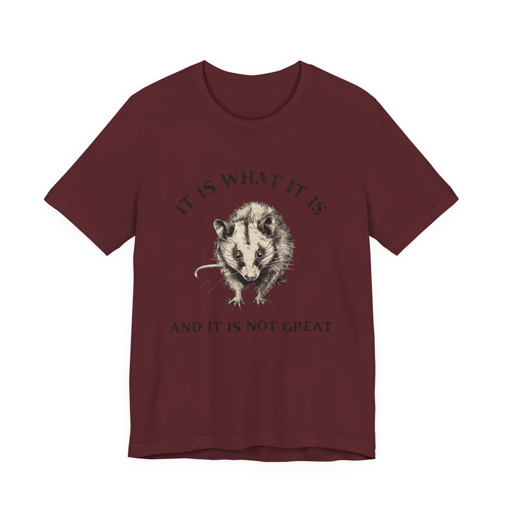 Humorous Opossum Tee - "It Is What It Is" Graphic T-Shirt, Funny Gift, Casual Wear, Animal Lover, Birthday, Gift for Friends