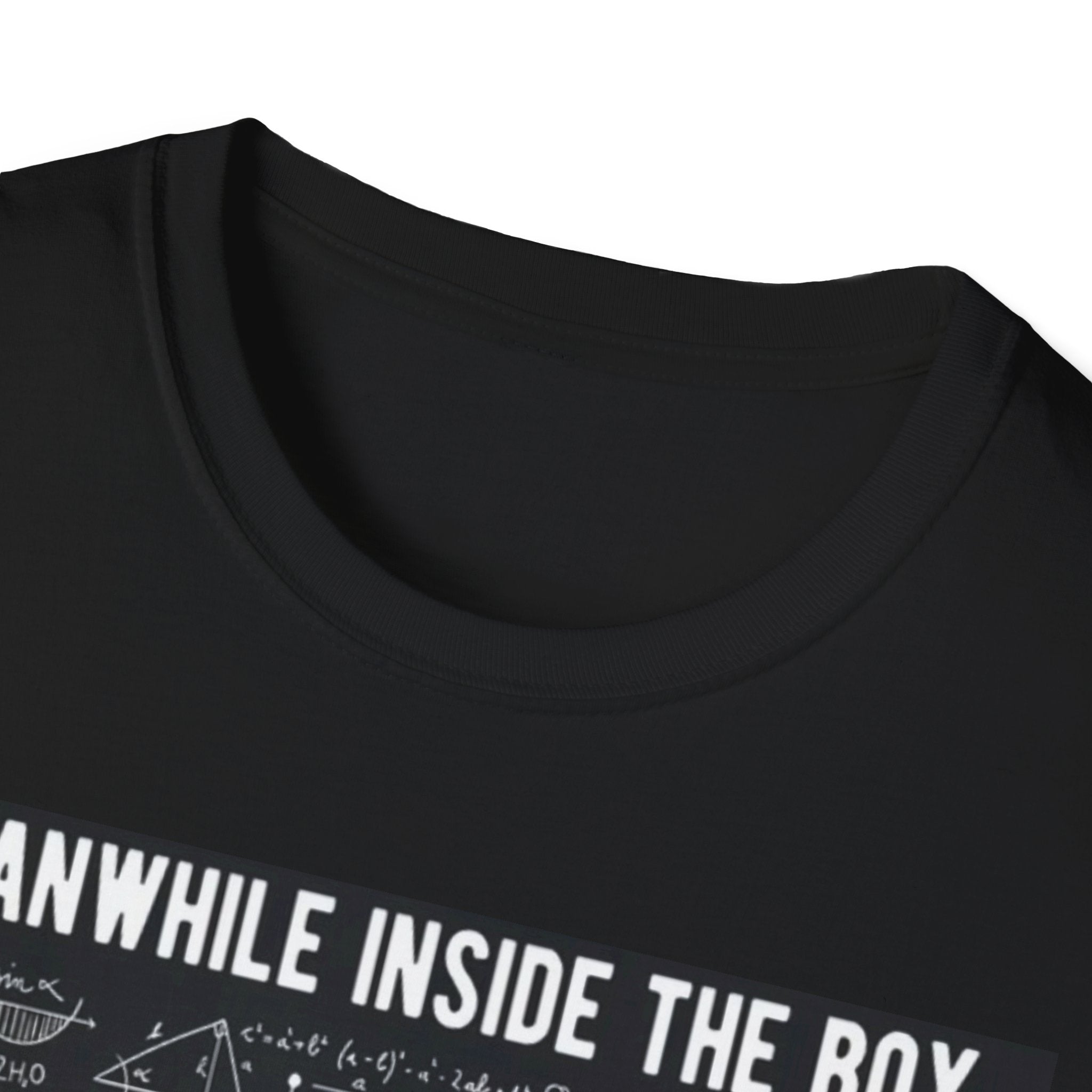 Schrodingers cat plotting revenge tee, funny tee
