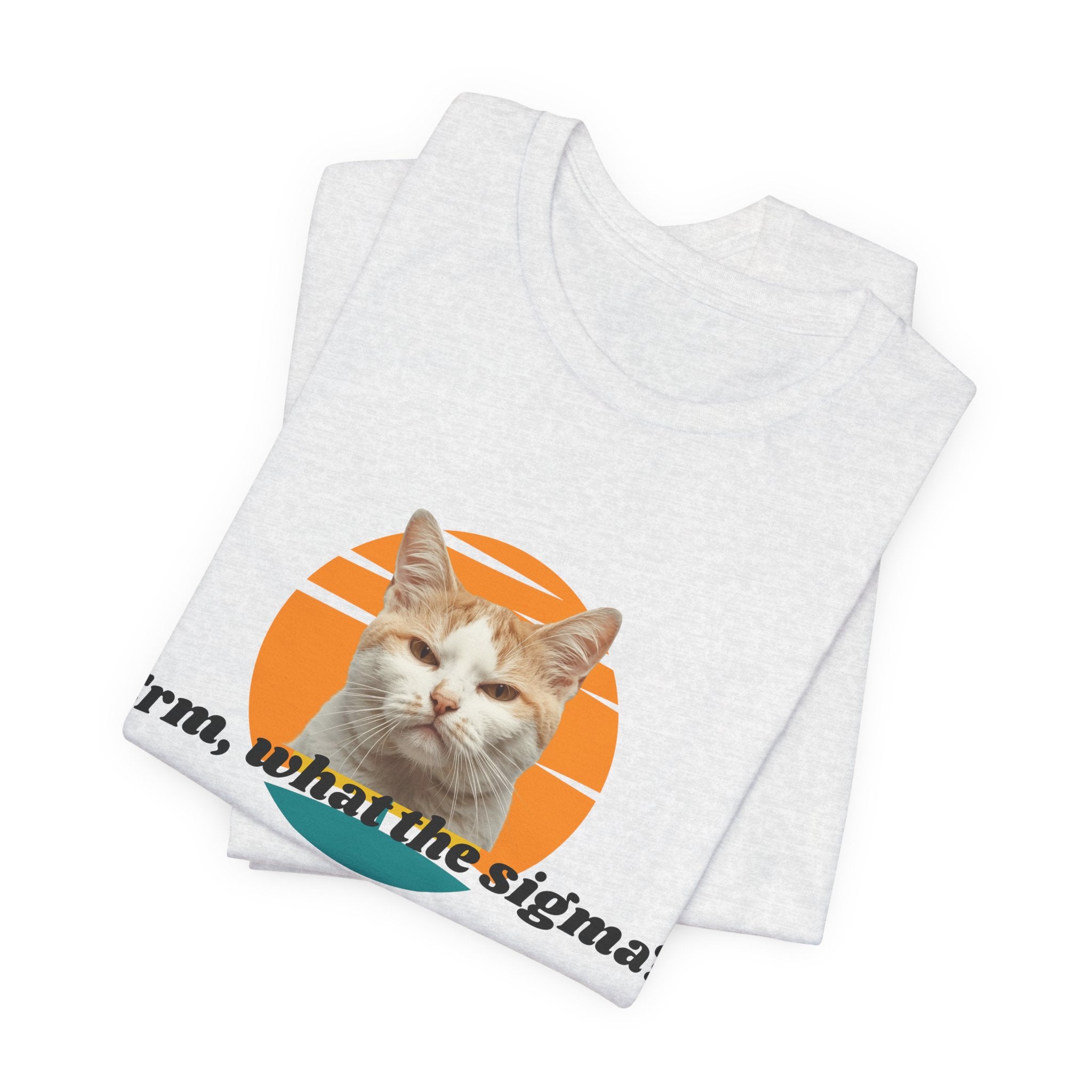 Grumpy Cat Sunset Graphic Tee | "Erm, what the sigma?" Text
