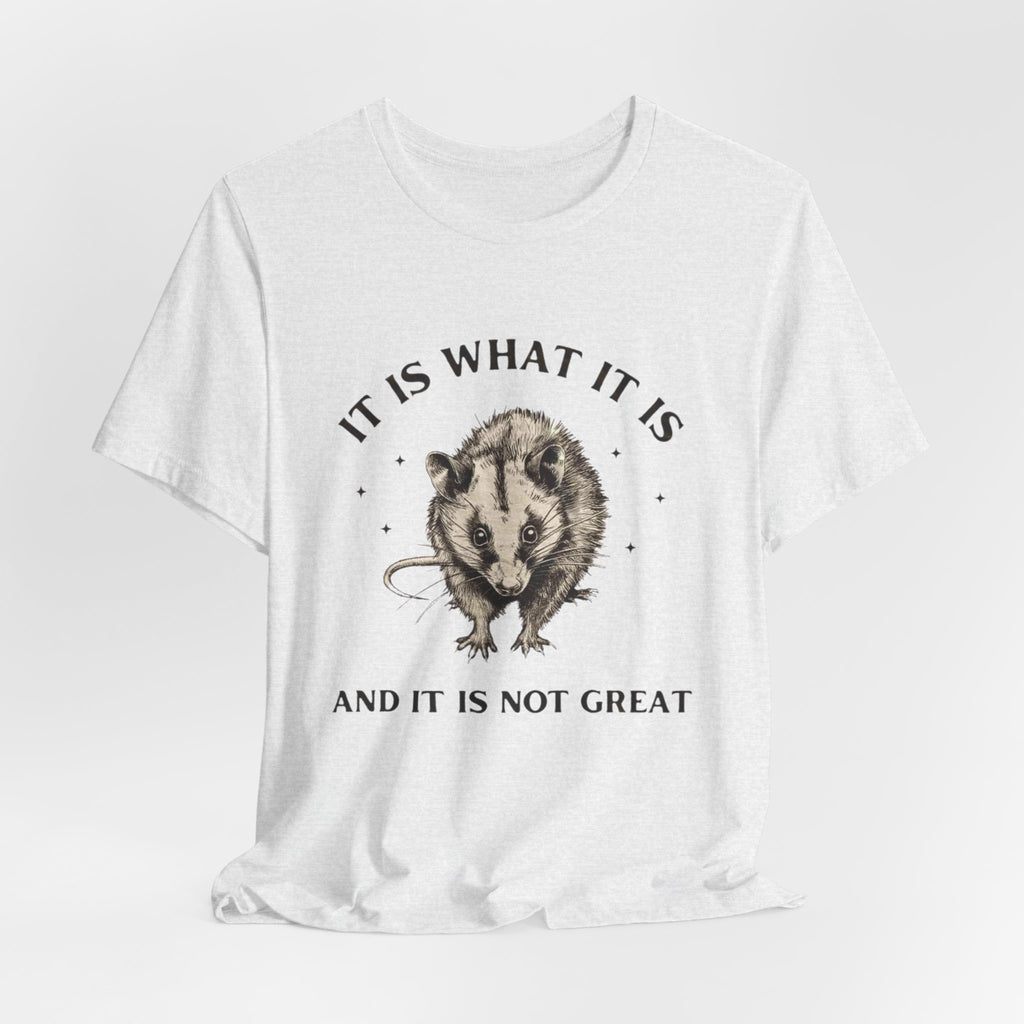Humorous Opossum Tee - "It Is What It Is" Graphic T-Shirt, Funny Gift, Casual Wear, Animal Lover, Birthday, Gift for Friends