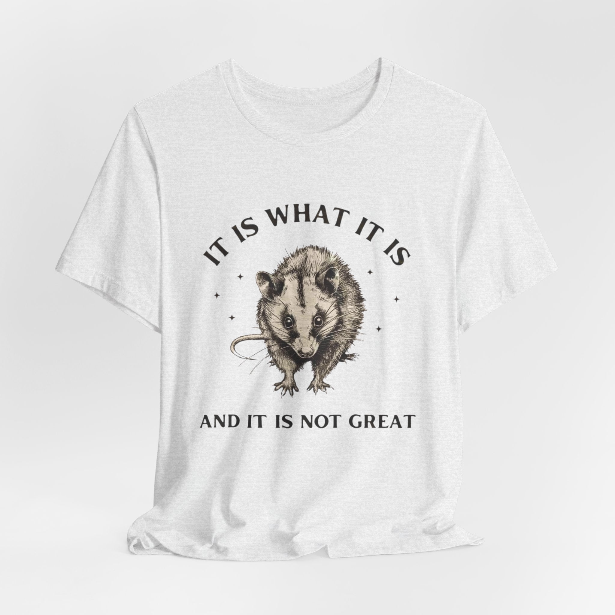 Humorous Opossum Tee - "It Is What It Is" Graphic T-Shirt, Funny Gift, Casual Wear, Animal Lover, Birthday, Gift for Friends