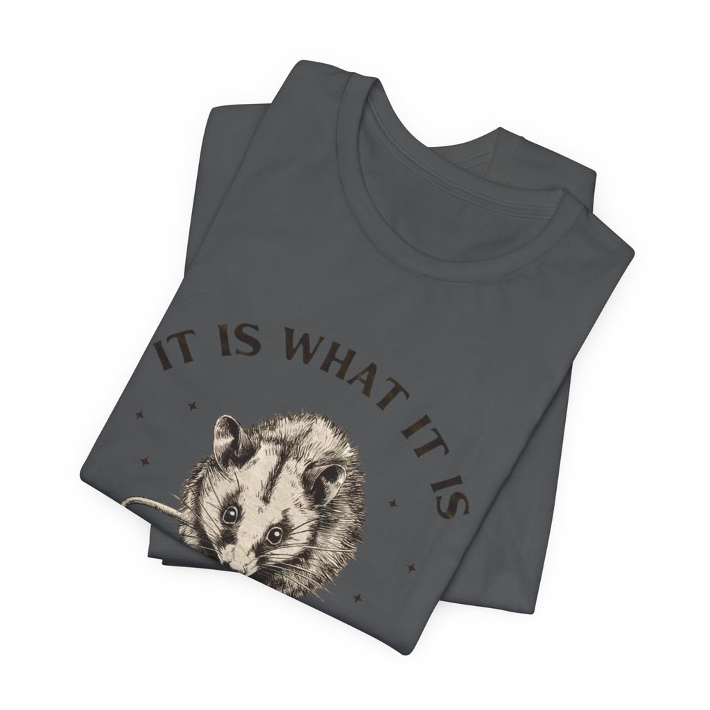 Humorous Opossum Tee - "It Is What It Is" Graphic T-Shirt, Funny Gift, Casual Wear, Animal Lover, Birthday, Gift for Friends