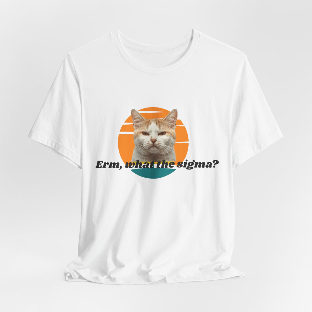 Grumpy Cat Sunset Graphic Tee | "Erm, what the sigma?" Text