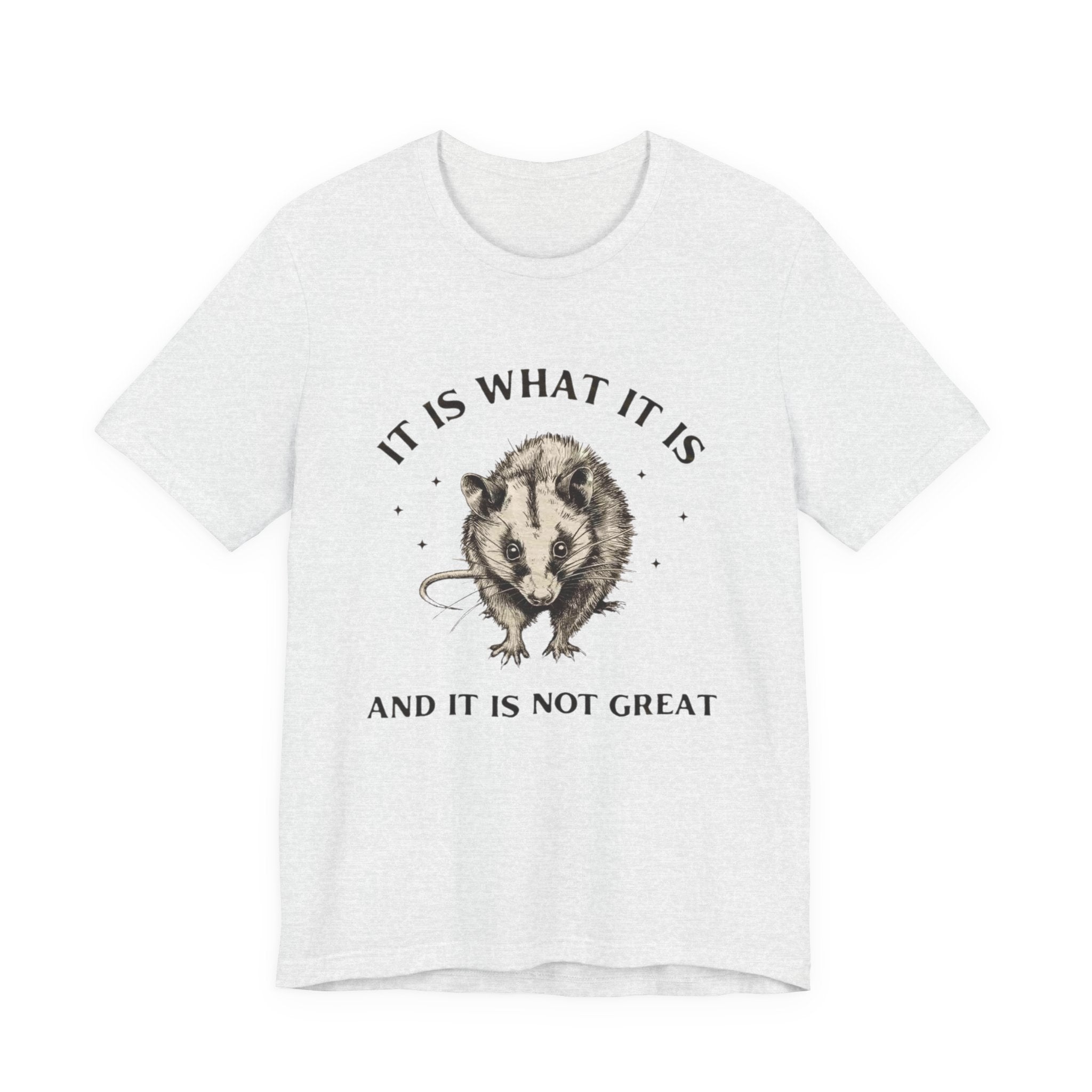 Humorous Opossum Tee - "It Is What It Is" Graphic T-Shirt, Funny Gift, Casual Wear, Animal Lover, Birthday, Gift for Friends