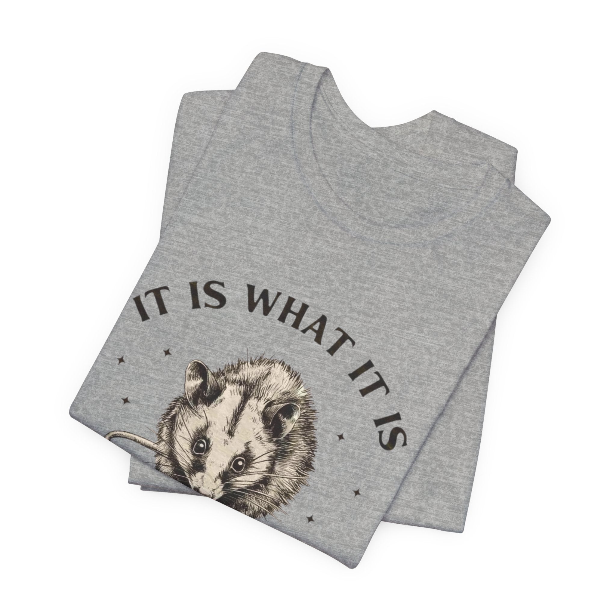 Humorous Opossum Tee - "It Is What It Is" Graphic T-Shirt, Funny Gift, Casual Wear, Animal Lover, Birthday, Gift for Friends