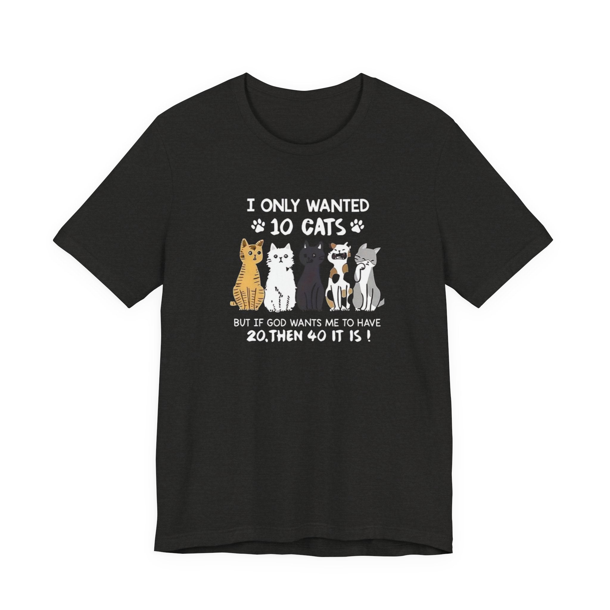 I Only Wanted 10 Cats tee | Cat Lover T-Shirt, Funny Cat Quote