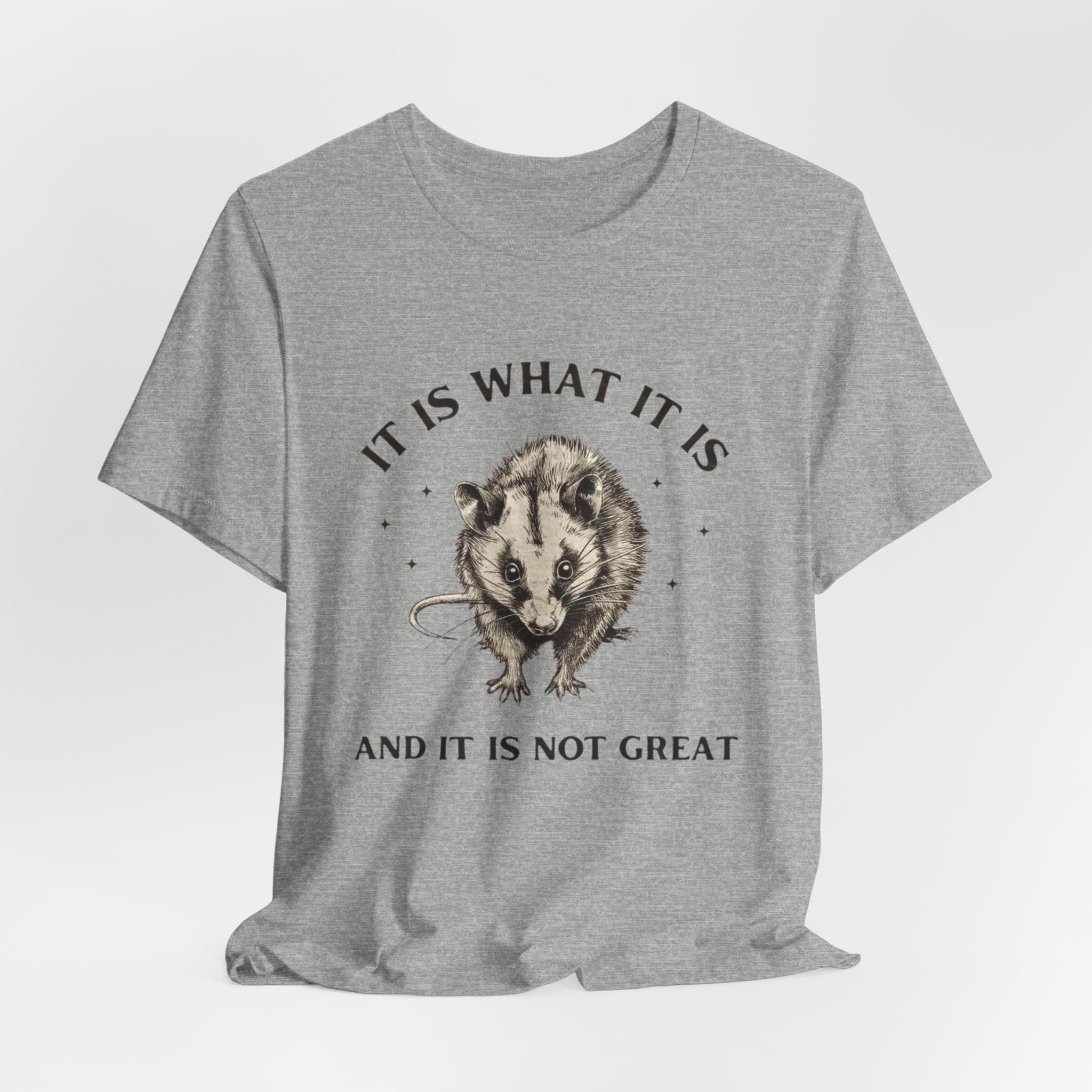 Humorous Opossum Tee - "It Is What It Is" Graphic T-Shirt, Funny Gift, Casual Wear, Animal Lover, Birthday, Gift for Friends