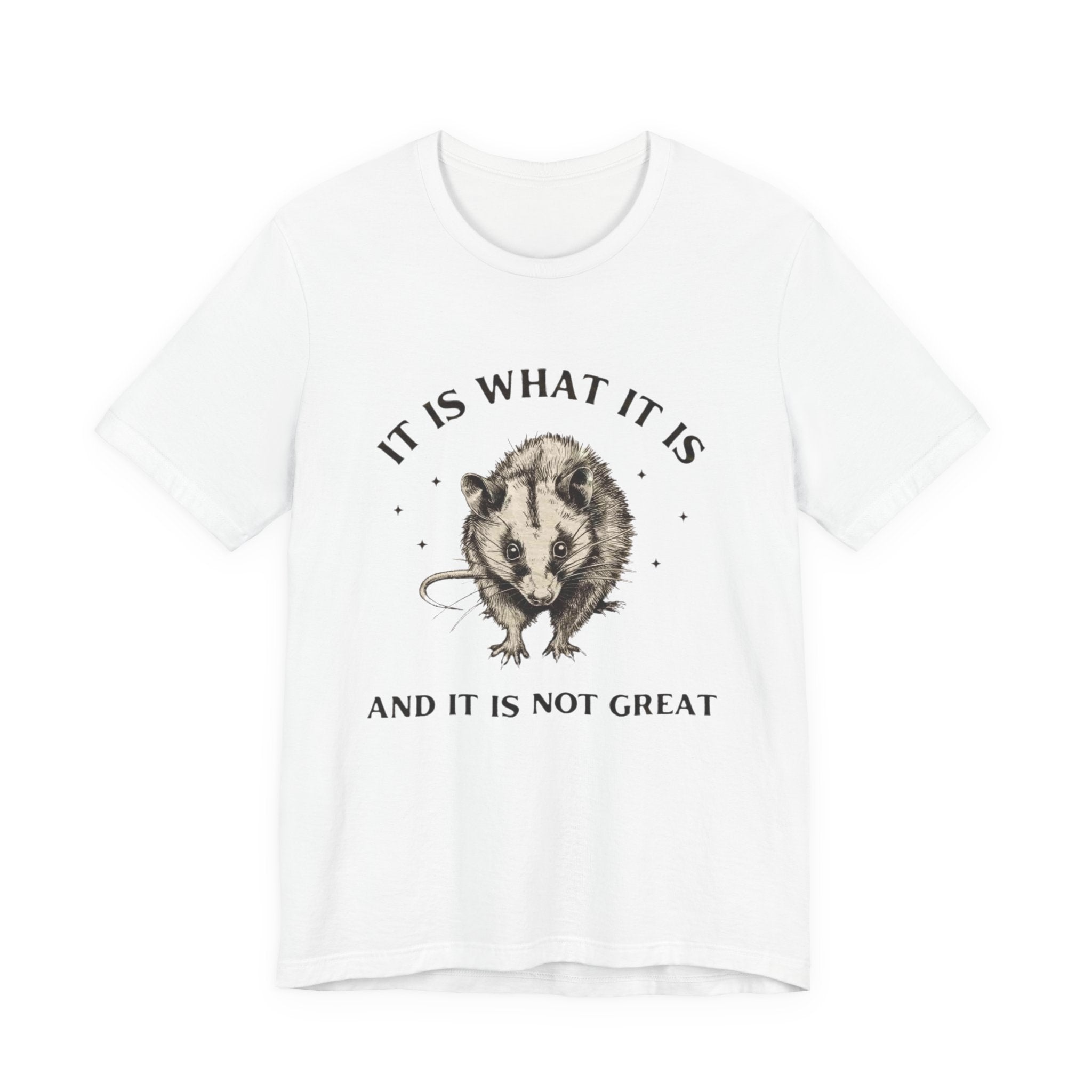 Humorous Opossum Tee - "It Is What It Is" Graphic T-Shirt, Funny Gift, Casual Wear, Animal Lover, Birthday, Gift for Friends
