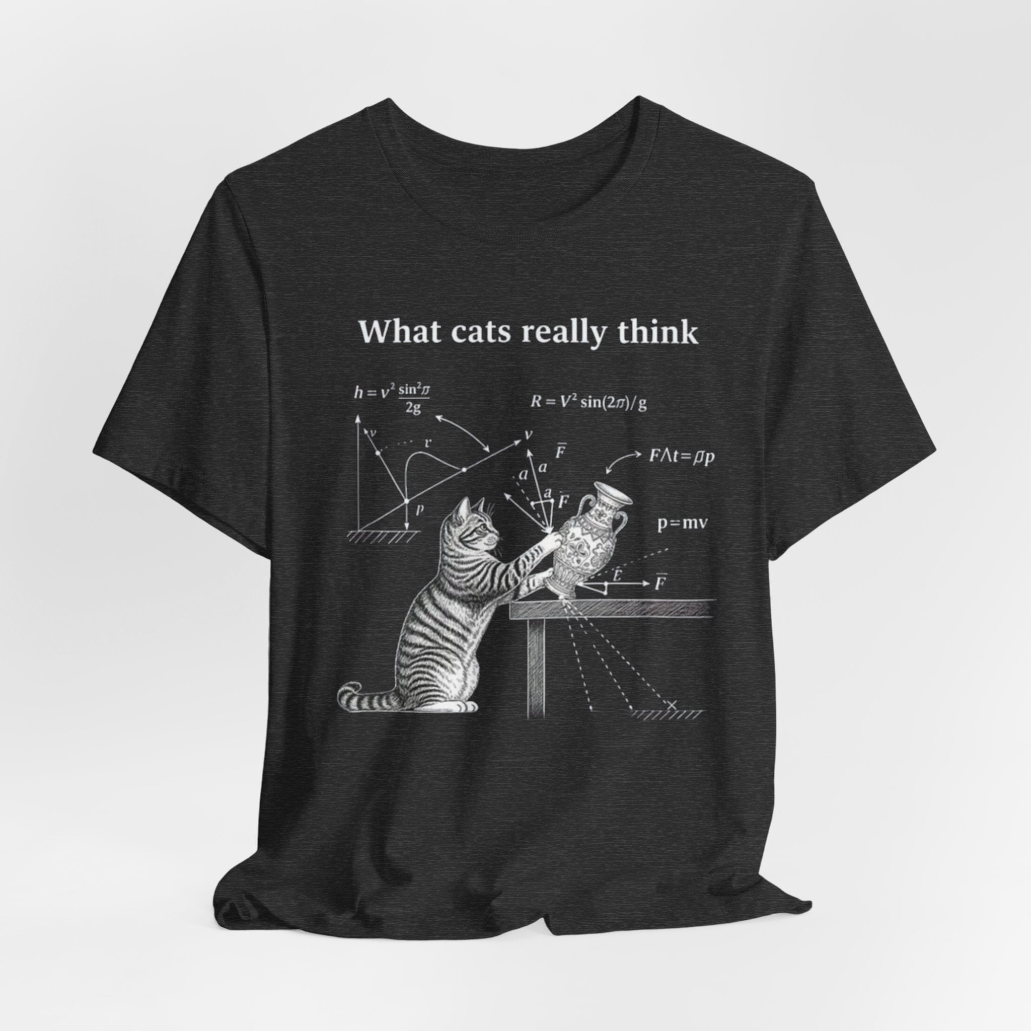 What Cats Really Think T-Shirt | Cat Physics Diagram Tee, Funny Cat Science Shirt
