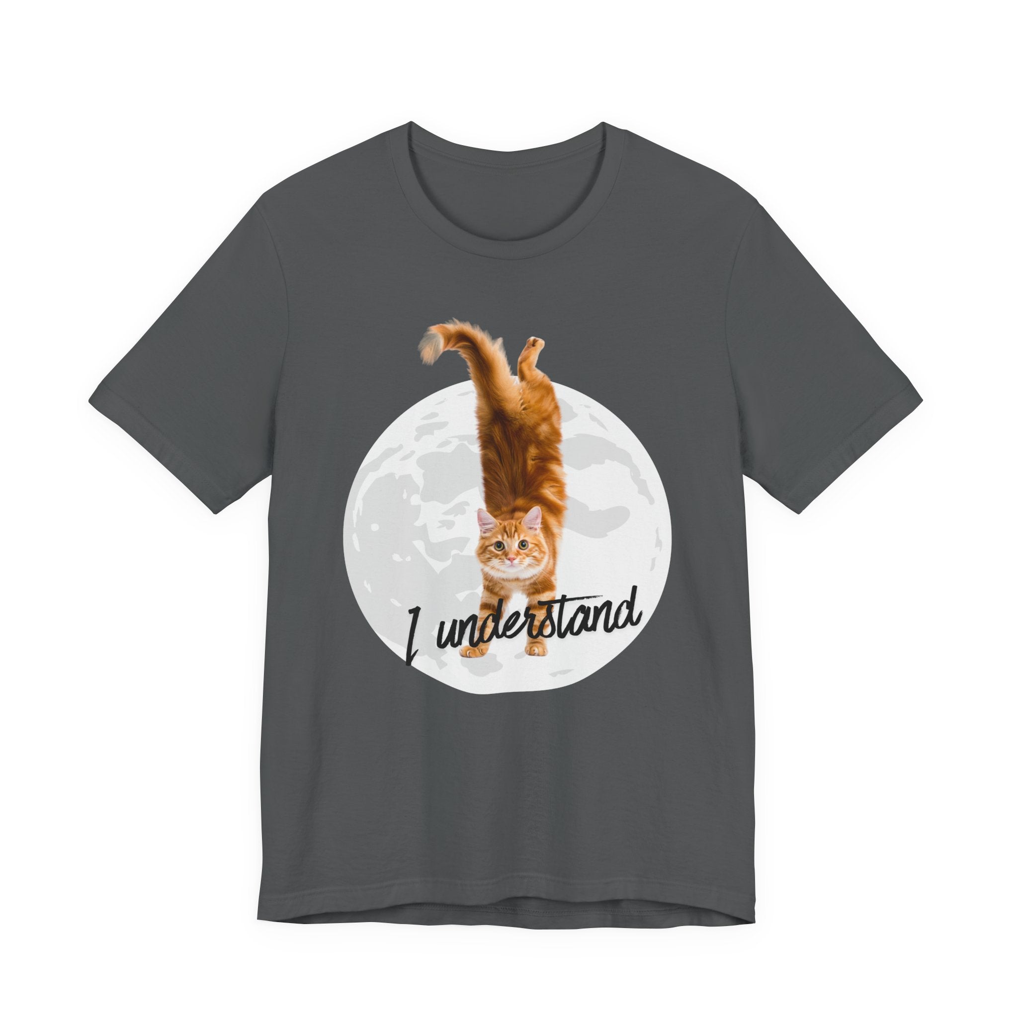 I Understand Cat Moon illustration tee | Ginger Cat, Moon Graphic Shirt