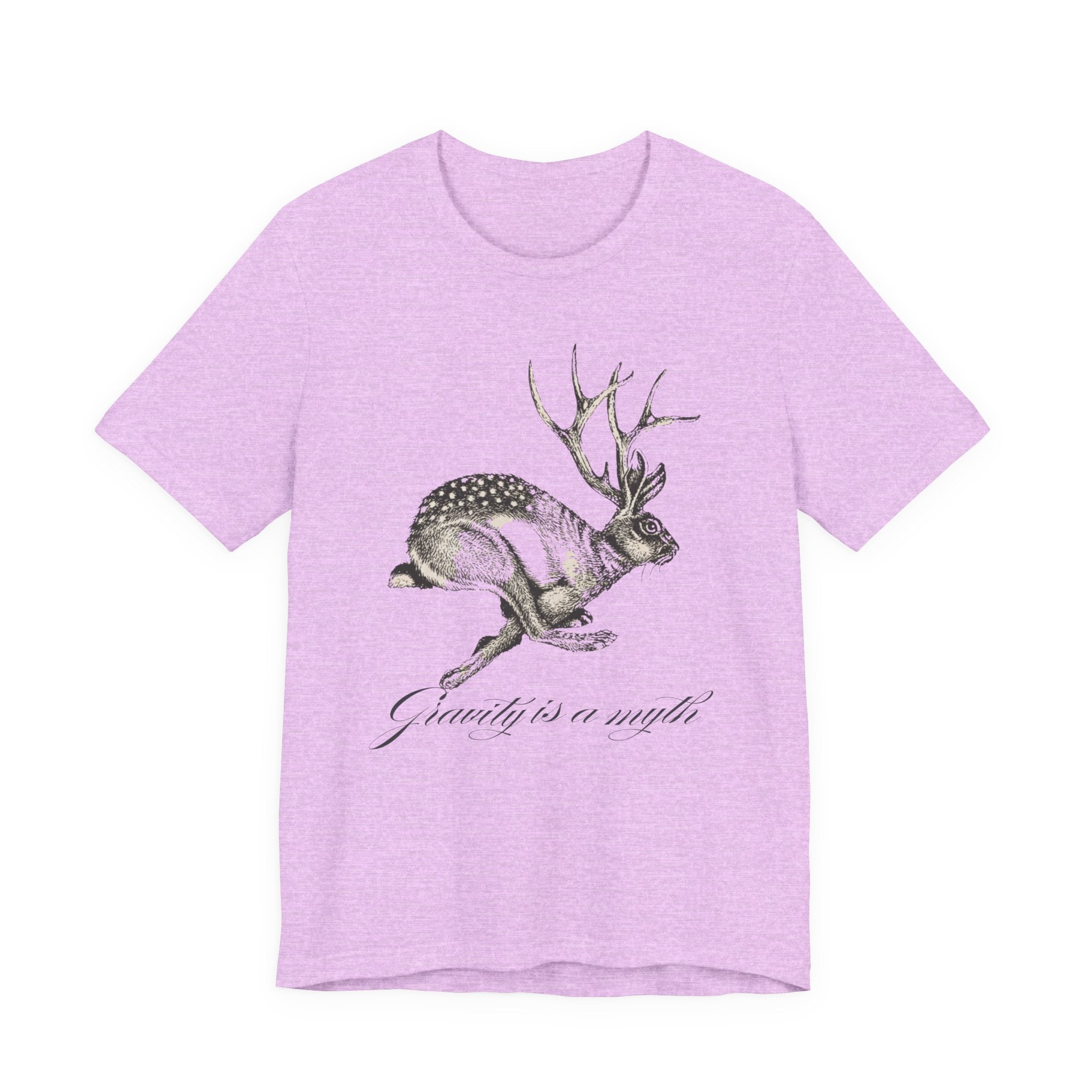 Gravity is a myth tee| hand -Drawn Jackalope Art, Script Motto