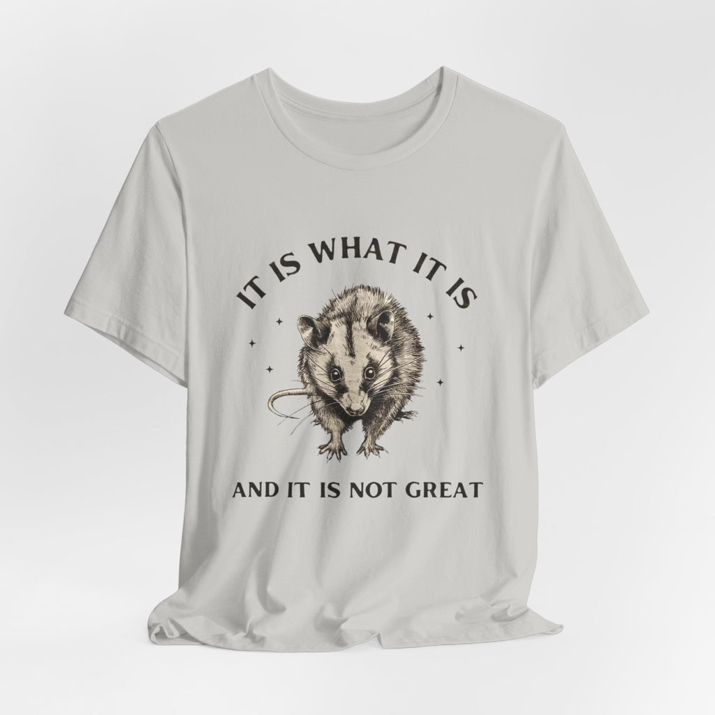 Humorous Opossum Tee - "It Is What It Is" Graphic T-Shirt, Funny Gift, Casual Wear, Animal Lover, Birthday, Gift for Friends