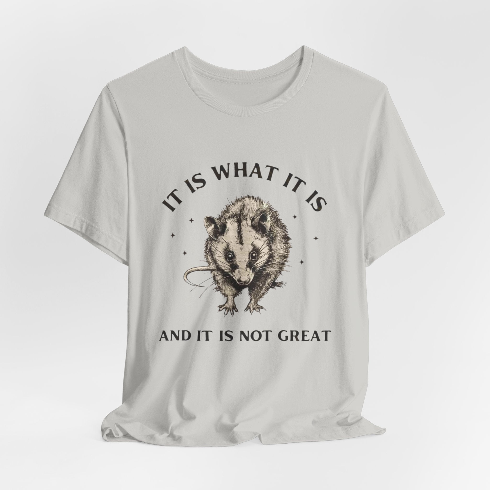 Humorous Opossum Tee - "It Is What It Is" Graphic T-Shirt, Funny Gift, Casual Wear, Animal Lover, Birthday, Gift for Friends