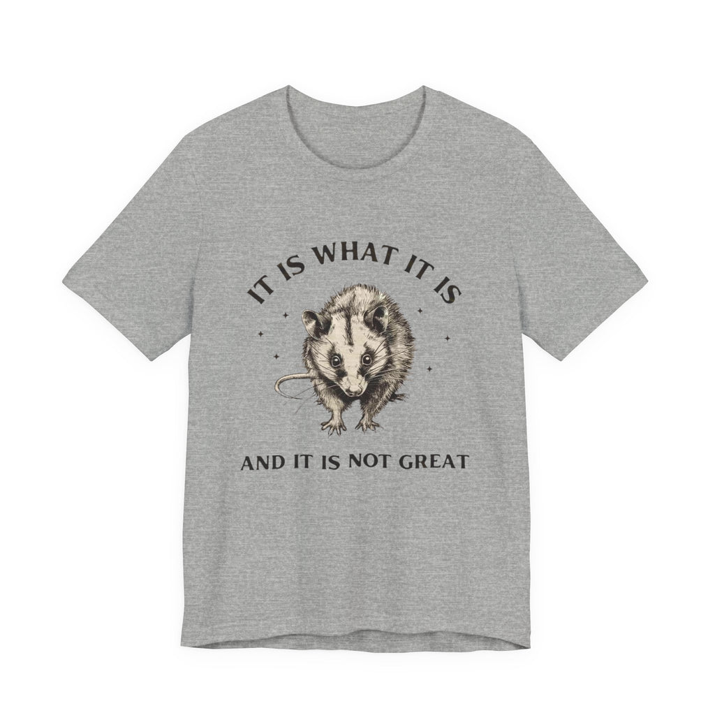 Humorous Opossum Tee - "It Is What It Is" Graphic T-Shirt, Funny Gift, Casual Wear, Animal Lover, Birthday, Gift for Friends