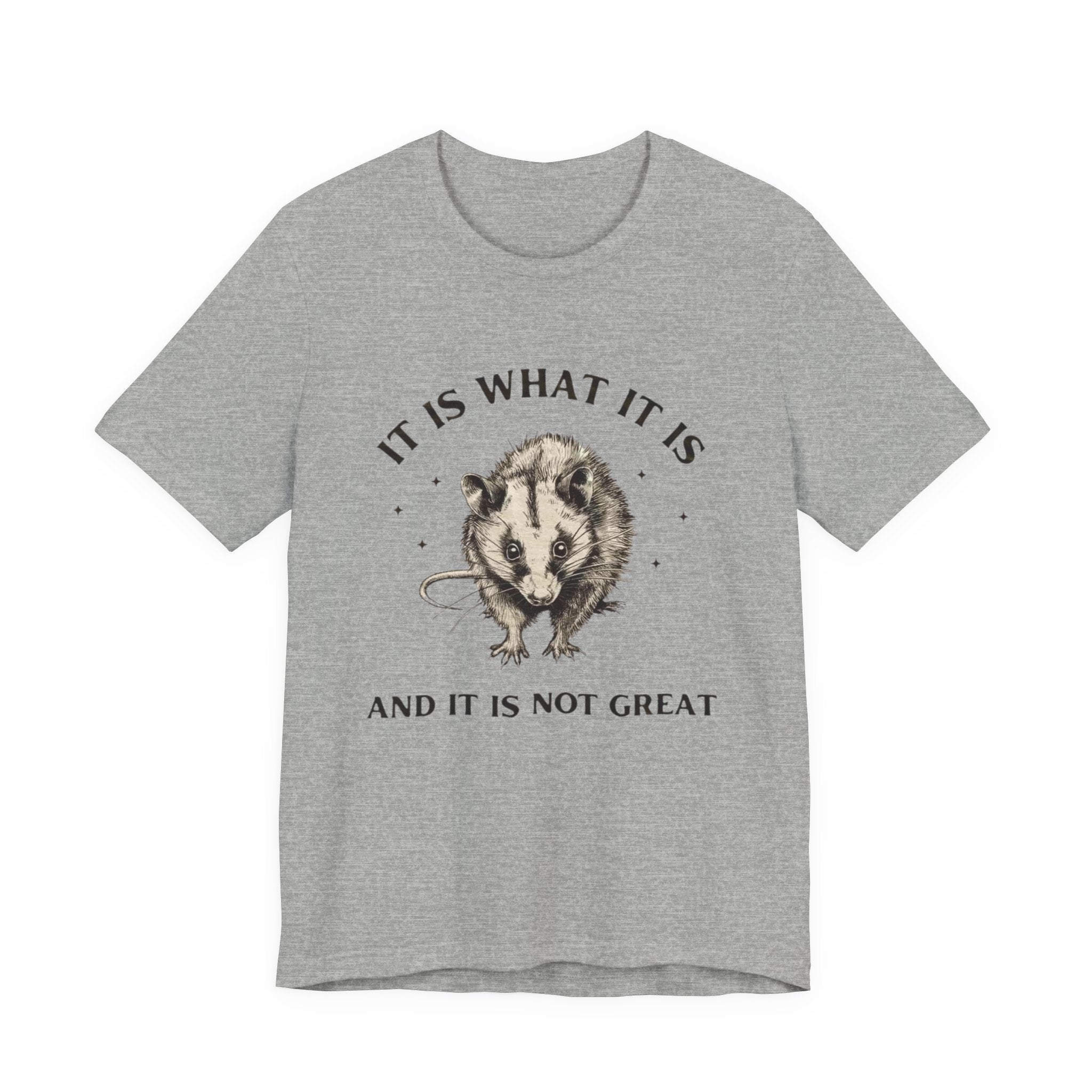 Humorous Opossum Tee - "It Is What It Is" Graphic T-Shirt, Funny Gift, Casual Wear, Animal Lover, Birthday, Gift for Friends