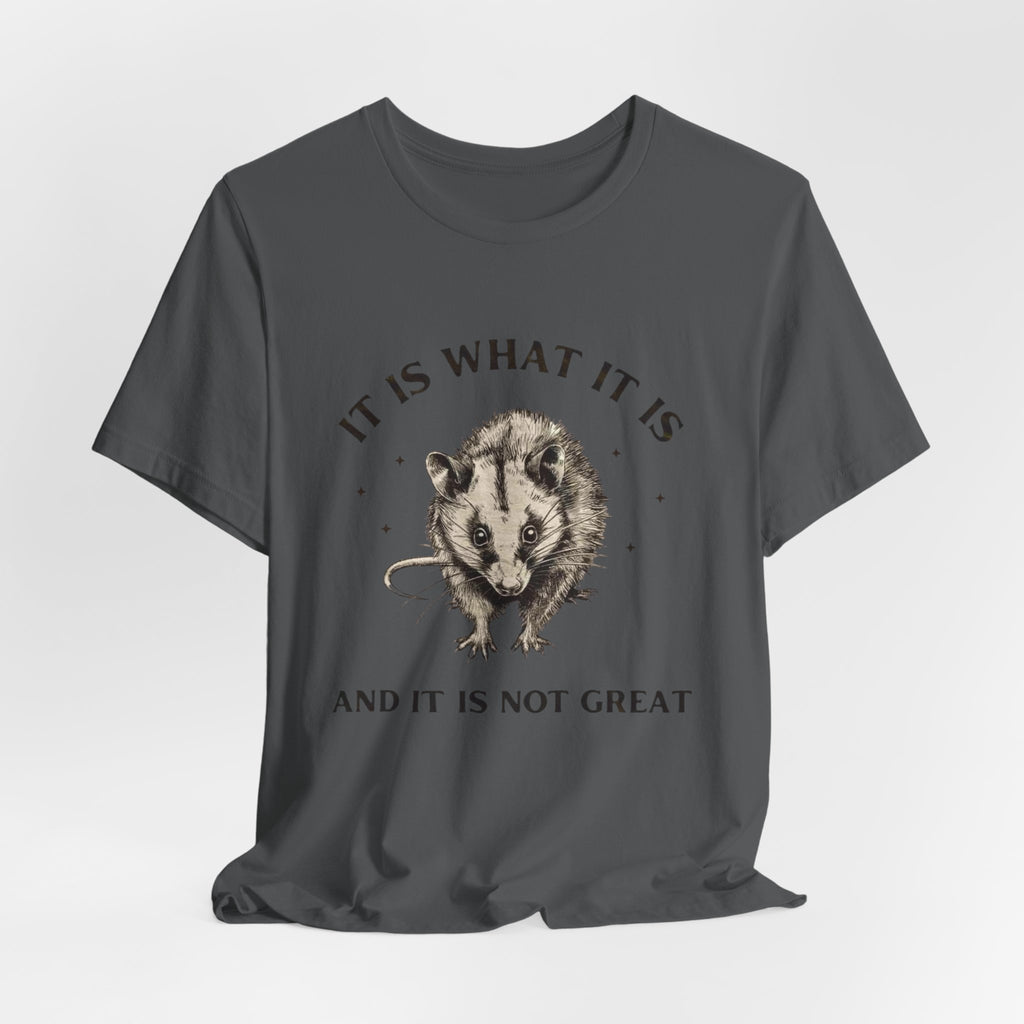 Humorous Opossum Tee - "It Is What It Is" Graphic T-Shirt, Funny Gift, Casual Wear, Animal Lover, Birthday, Gift for Friends